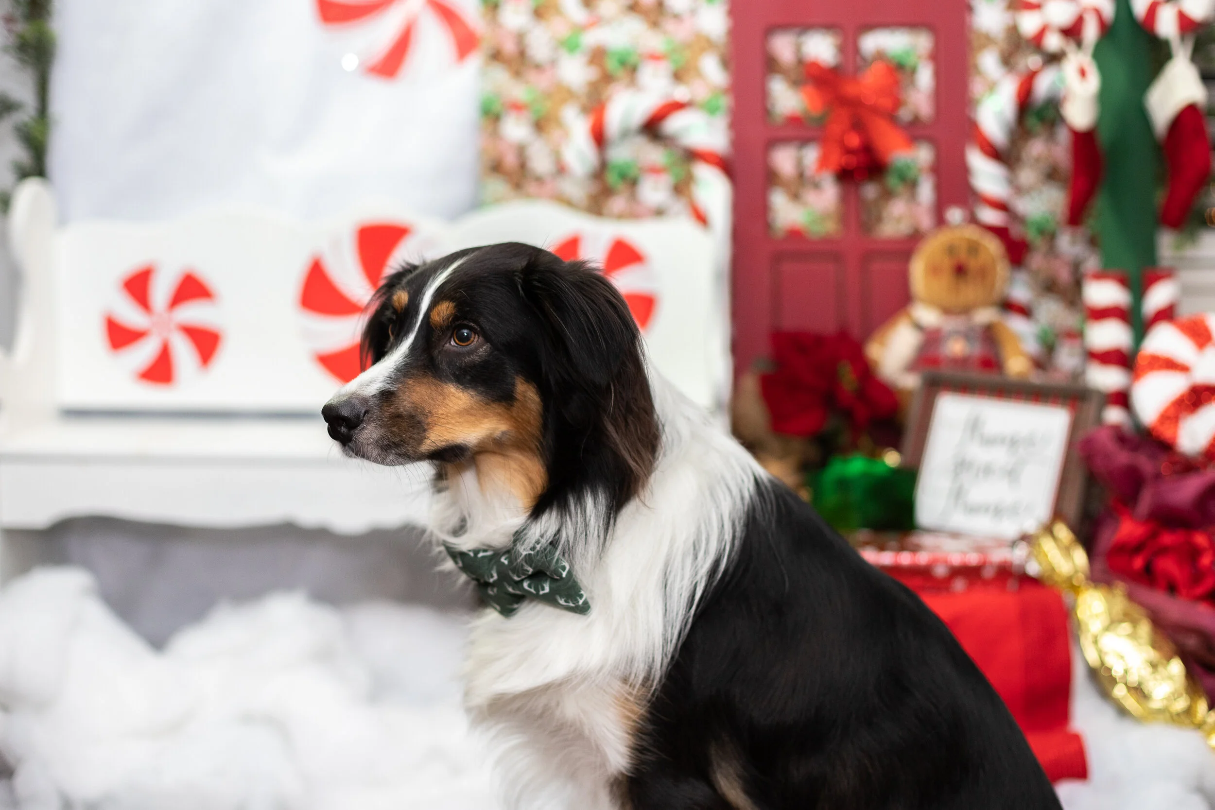 TMS OPEN HOUSE-36.jpg