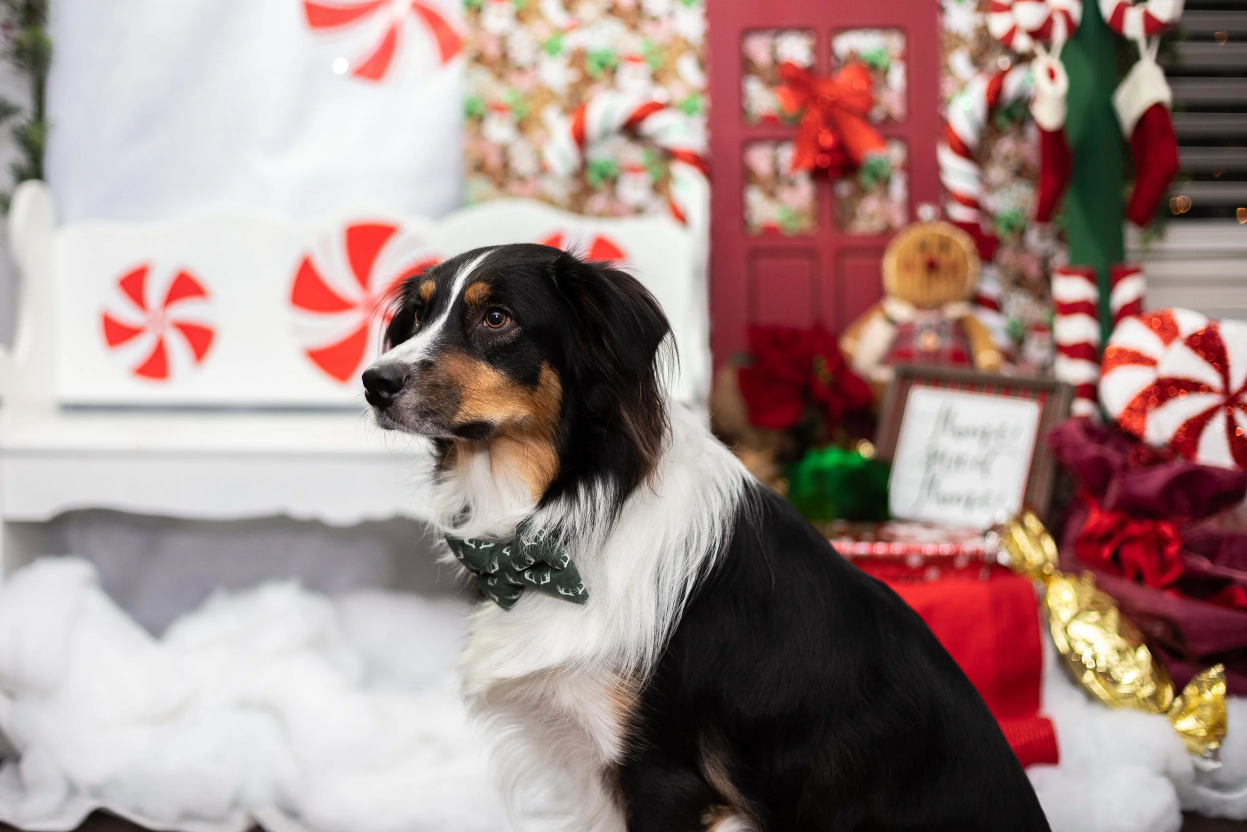 TMS OPEN HOUSE-37.jpg