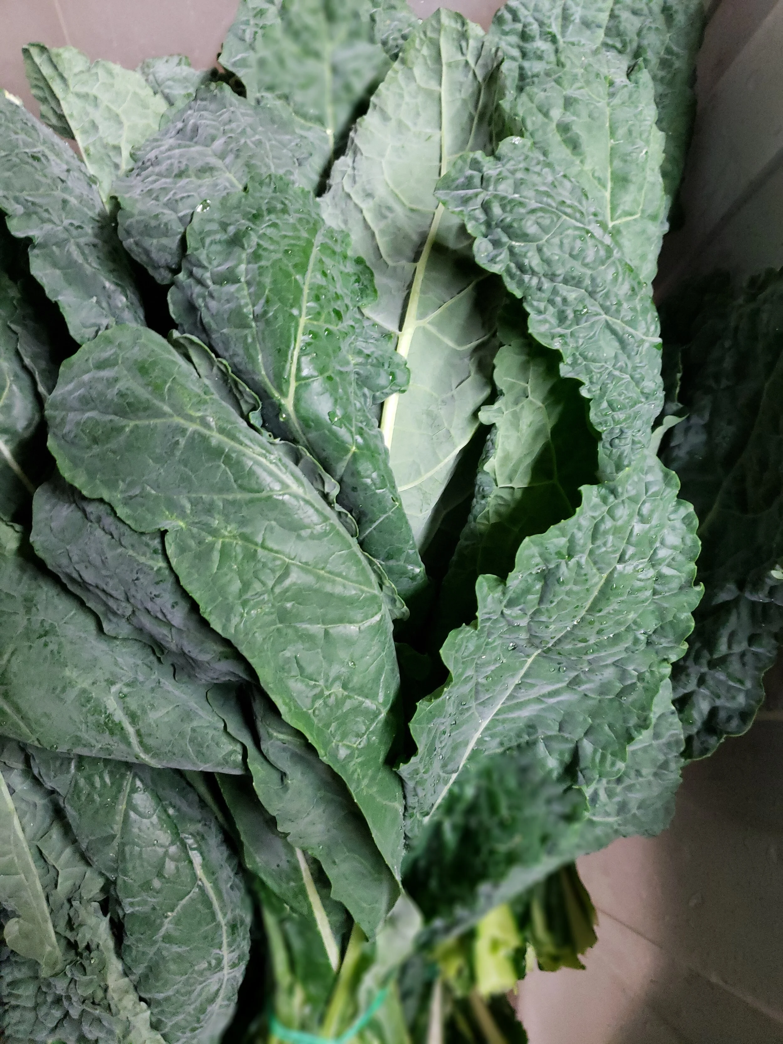 dino kale.jpg