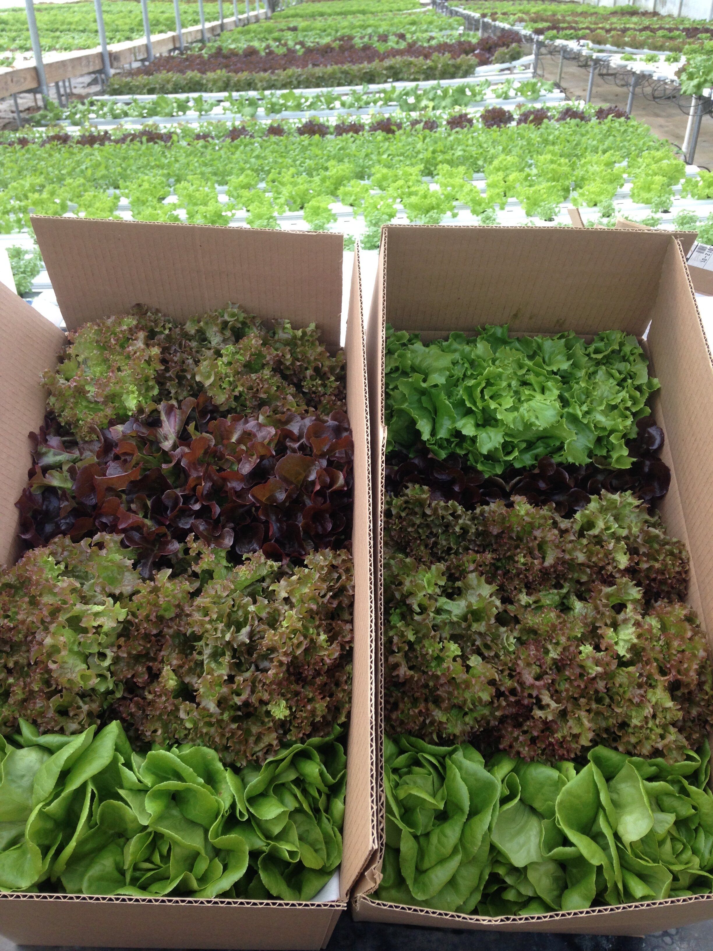  Ready for the restaurants!!!! 