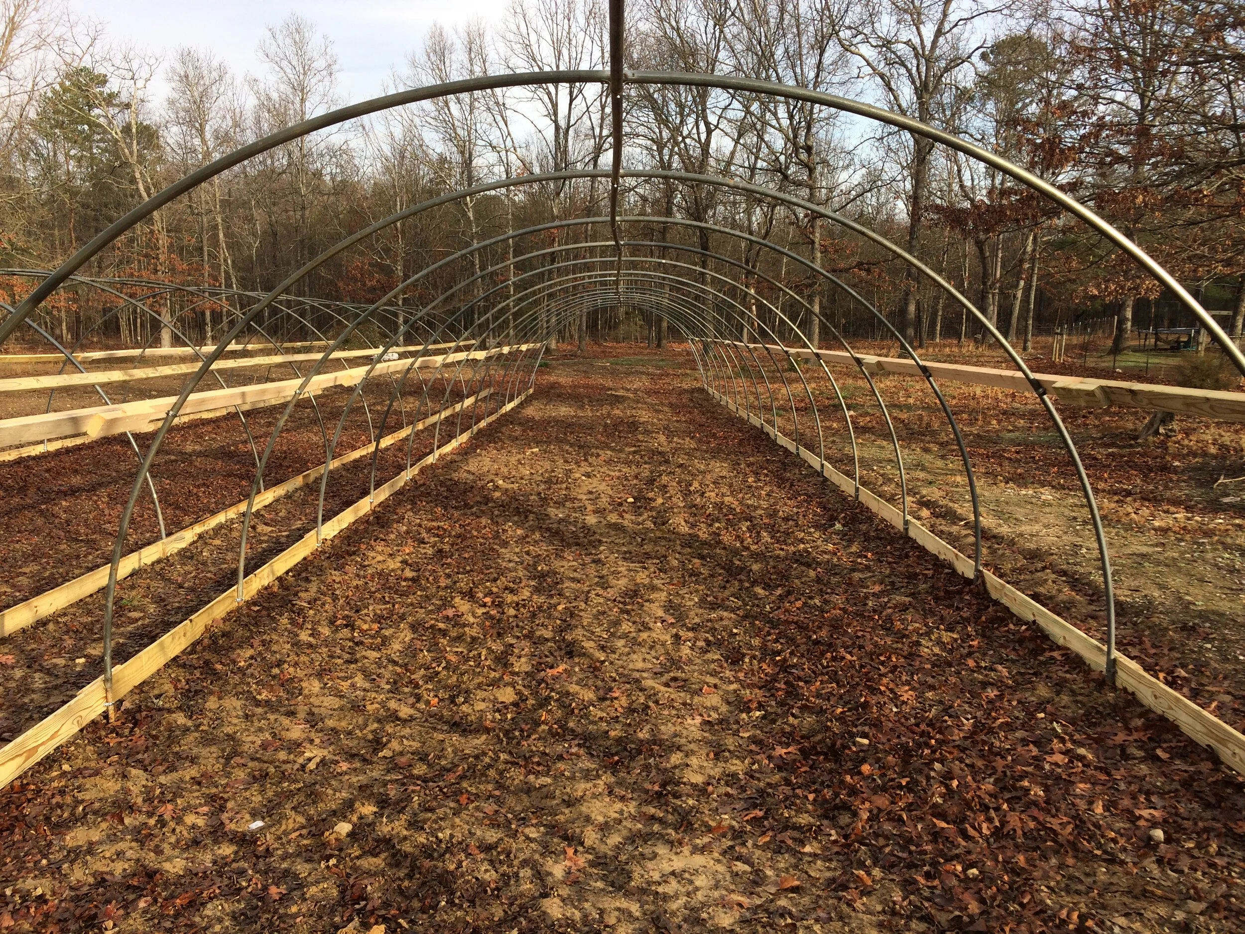 Another hoop house