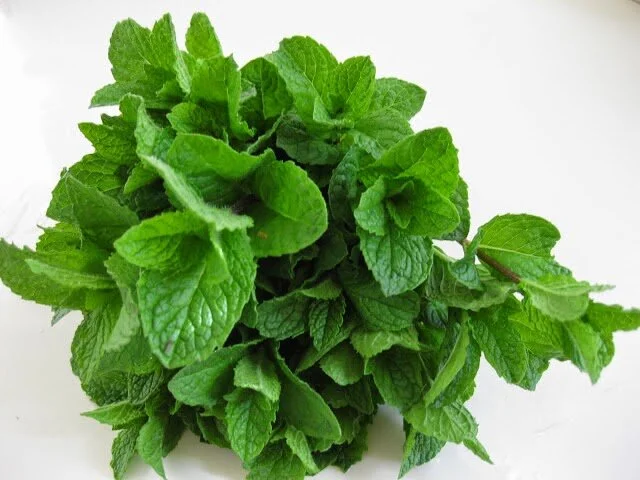 mint.jpg