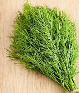 dill.jpg