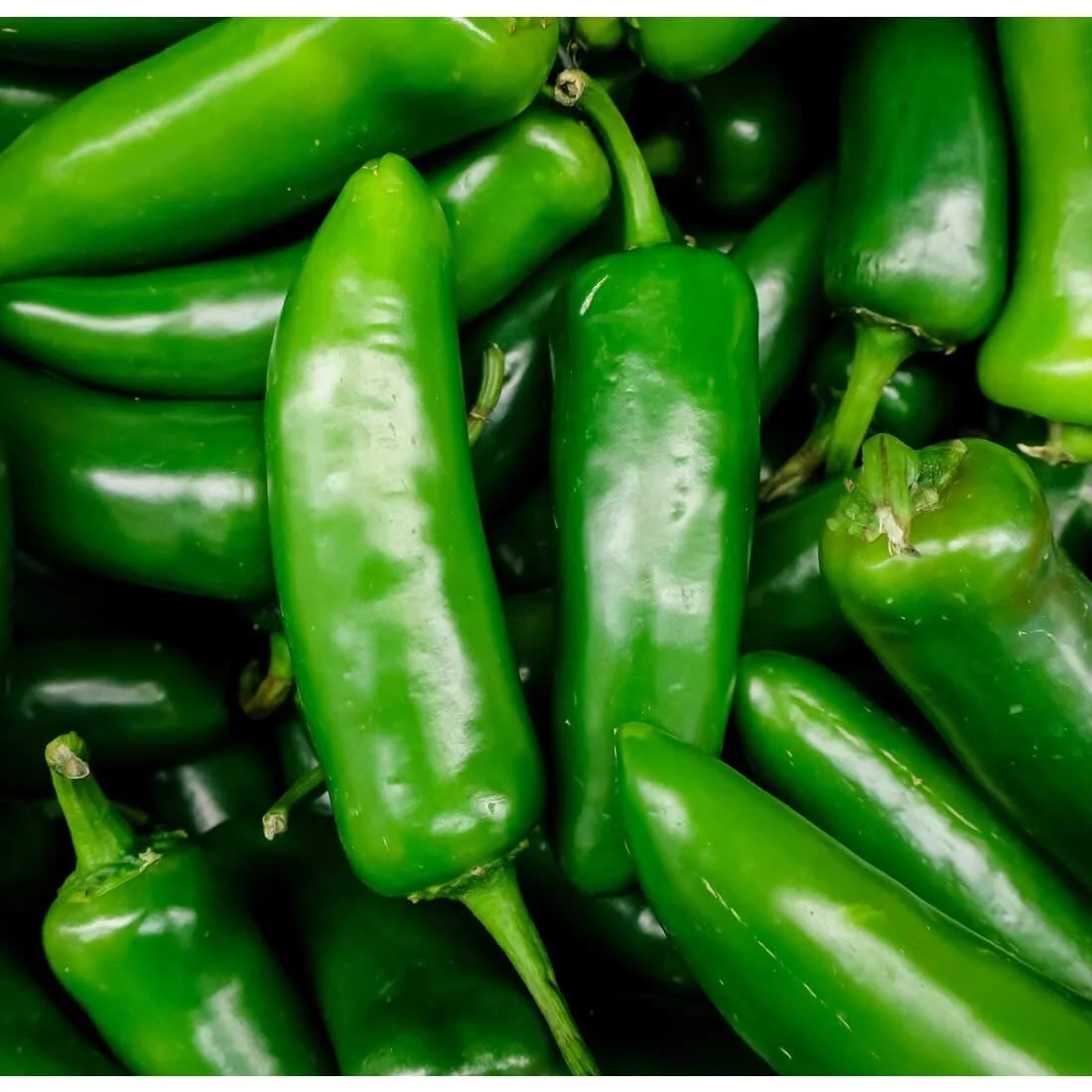 jalepeno.jpg
