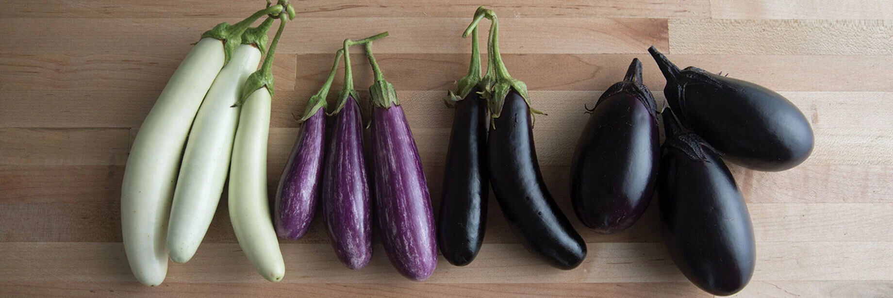 eggplant.jpg