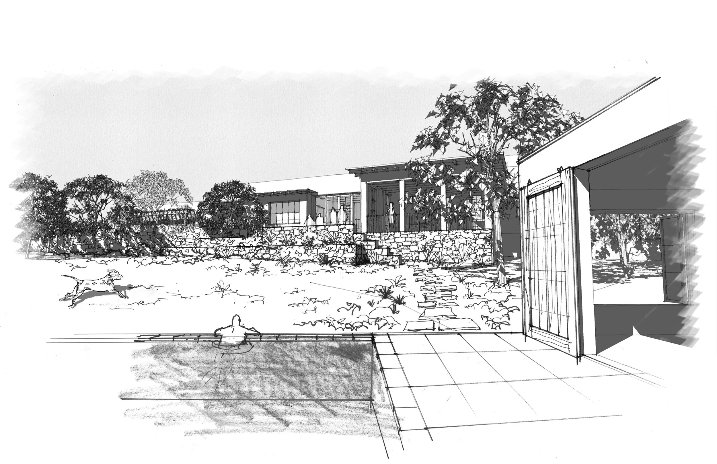 View from the pool.jpg