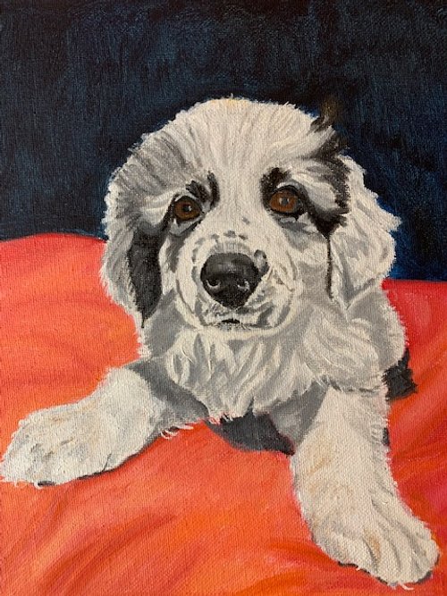 Bandit