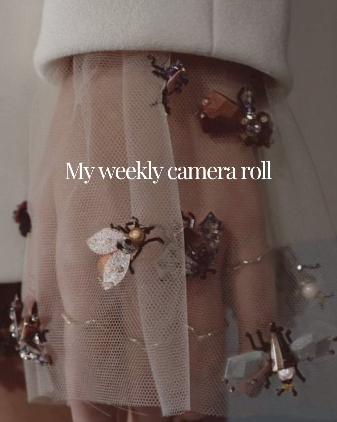 A weekly camera roll from a business owner who is currently running her own marketing business, co-owning a very busy design education platform, renovating a 120-year-old farmhouse and attempting, against all odds, to get a decent night&rsquo;s sleep