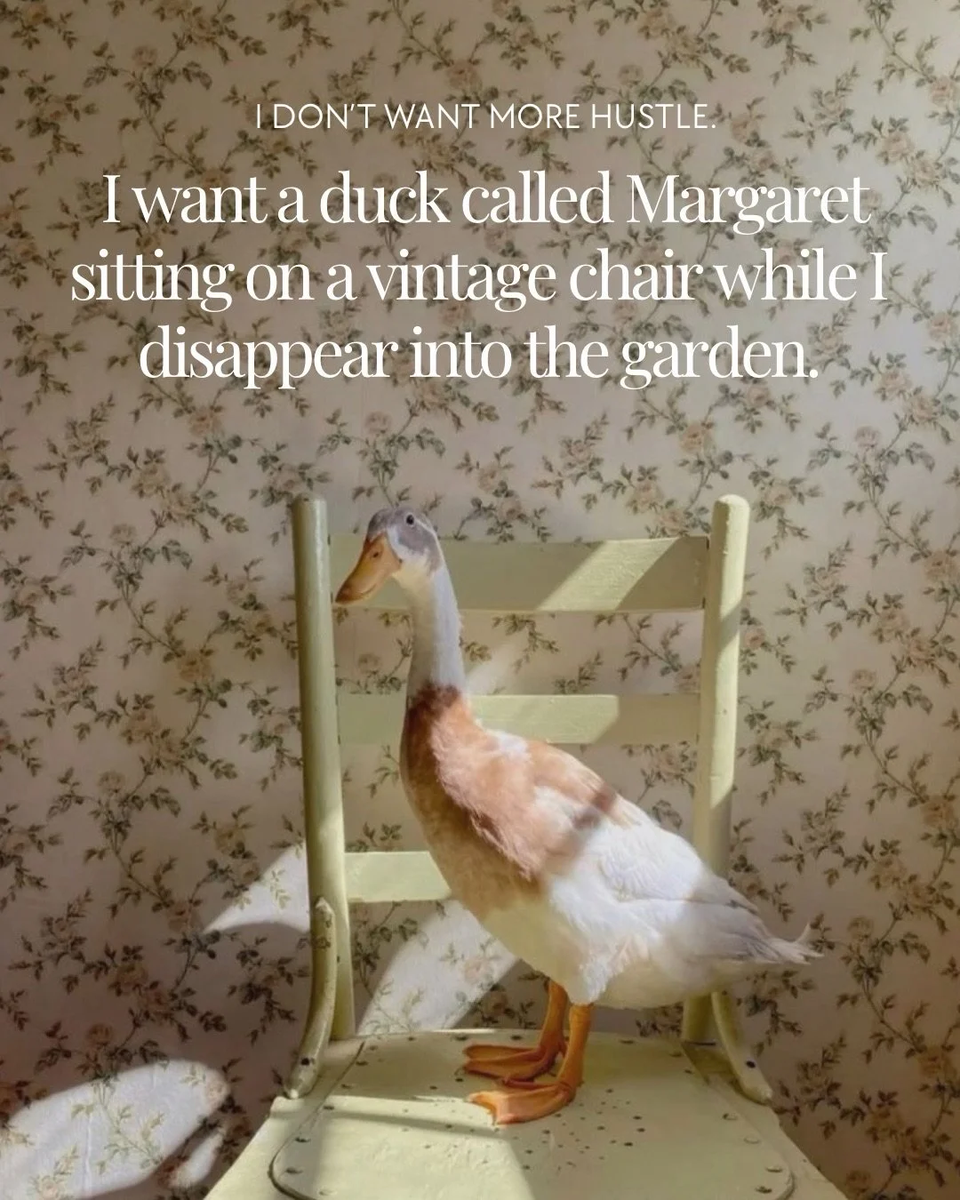 Other people are manifesting promotions, European summers and passive income.

I&rsquo;m manifesting ducks sitting on vintage chairs, vegetables growing out the back, a house far enough away from everything that no one &ldquo;just pops in&rdquo; and 