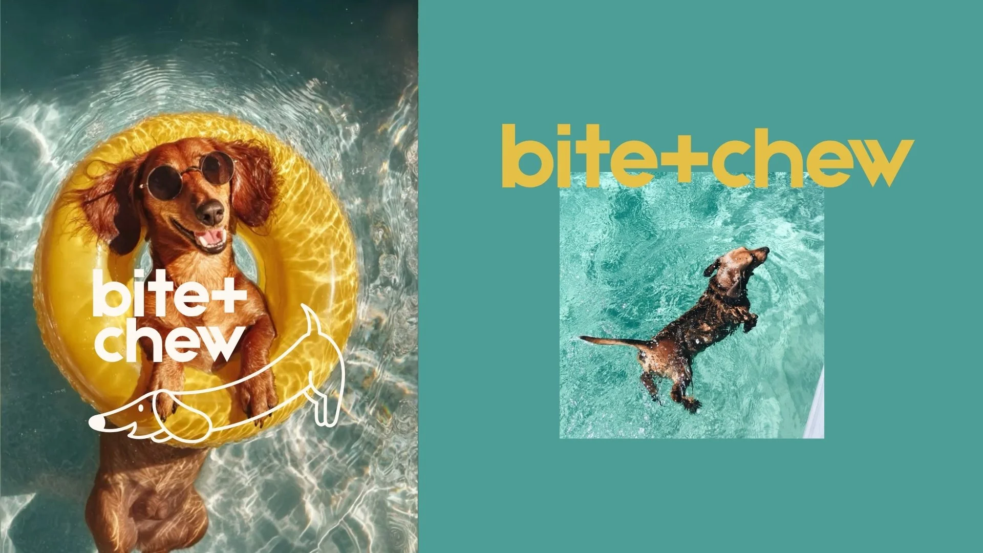 BRAND FOUNDATIONS: Bite+Chew