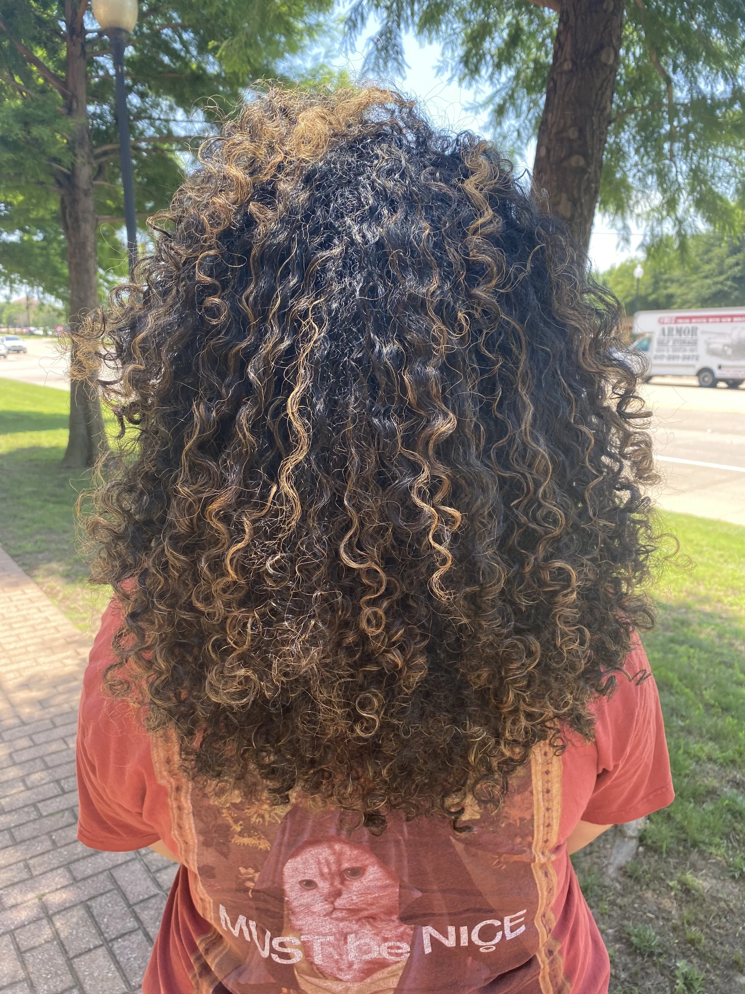 The Curl Collective