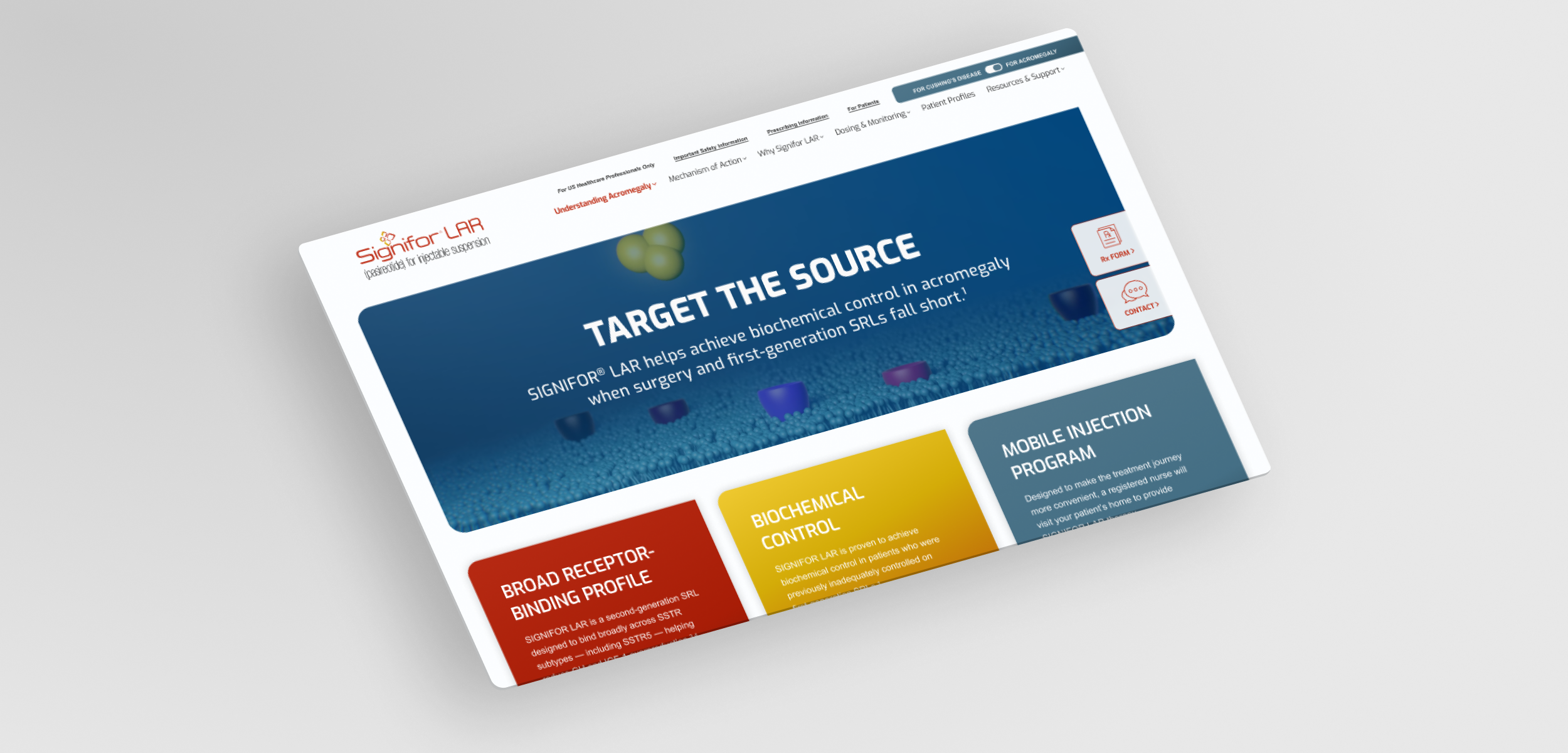 web-portfolio-mockup_1.png