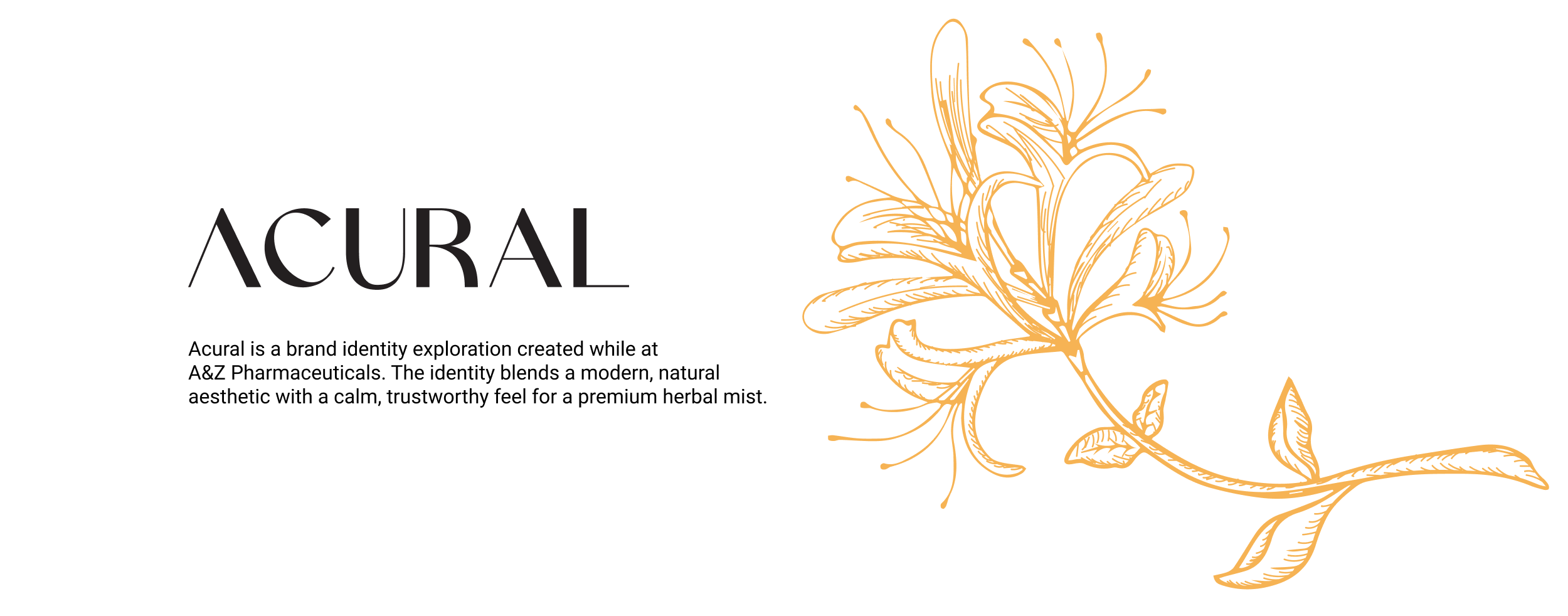 Acural 1.png