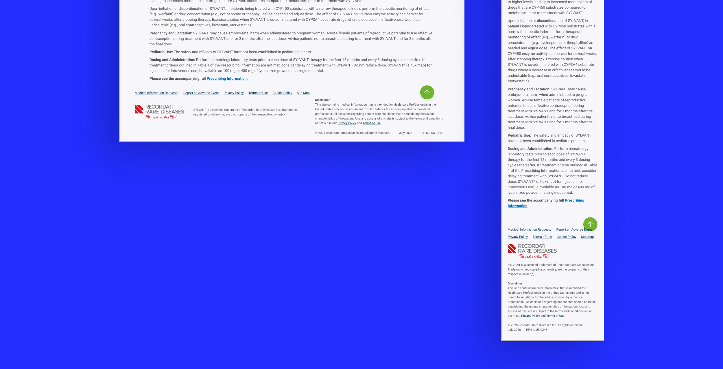web-portfolio-mockup_10-2.png