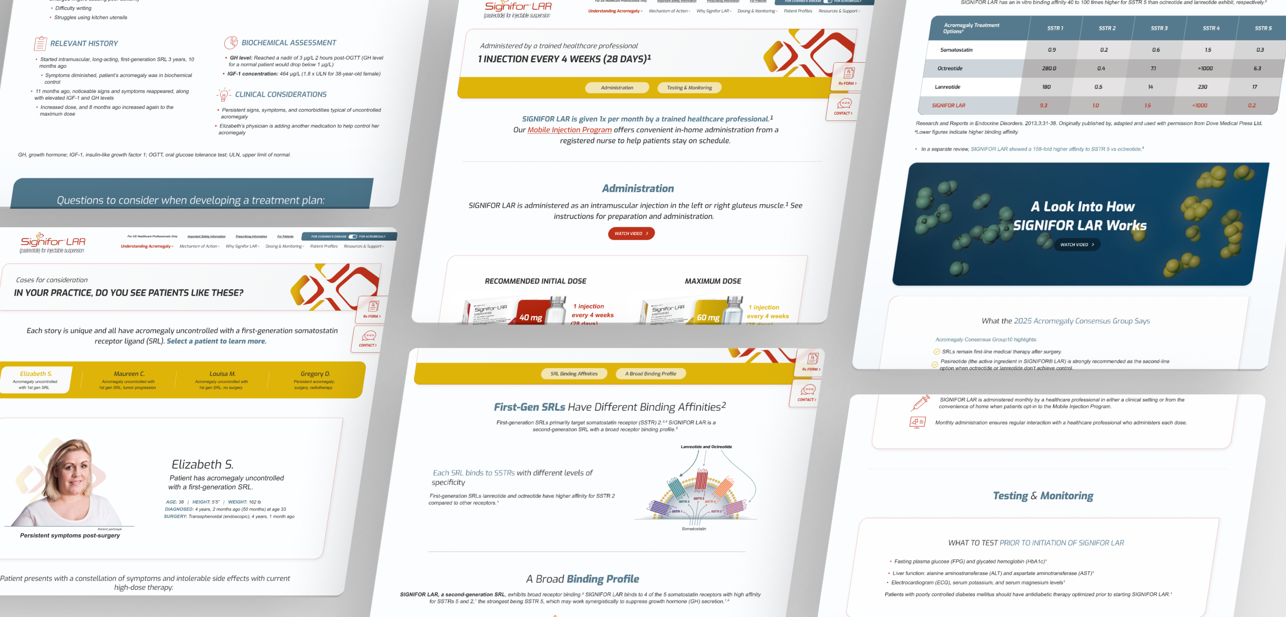 web-portfolio-mockup_10.png