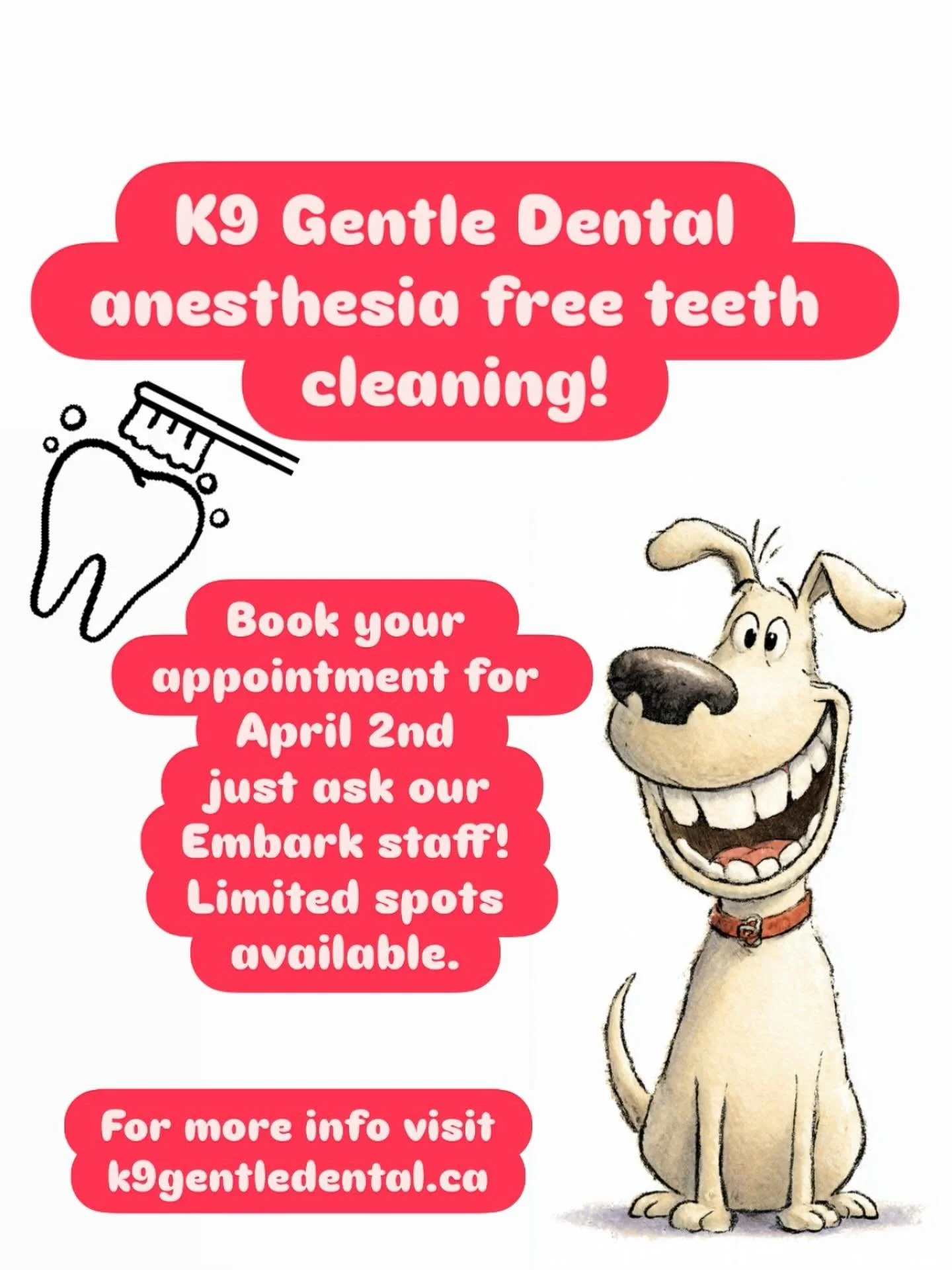 K9 Gentle Dental, book your appointment today!
#dog #dogs #dogsofinstagram #doggydaycare #dogsofportmoody