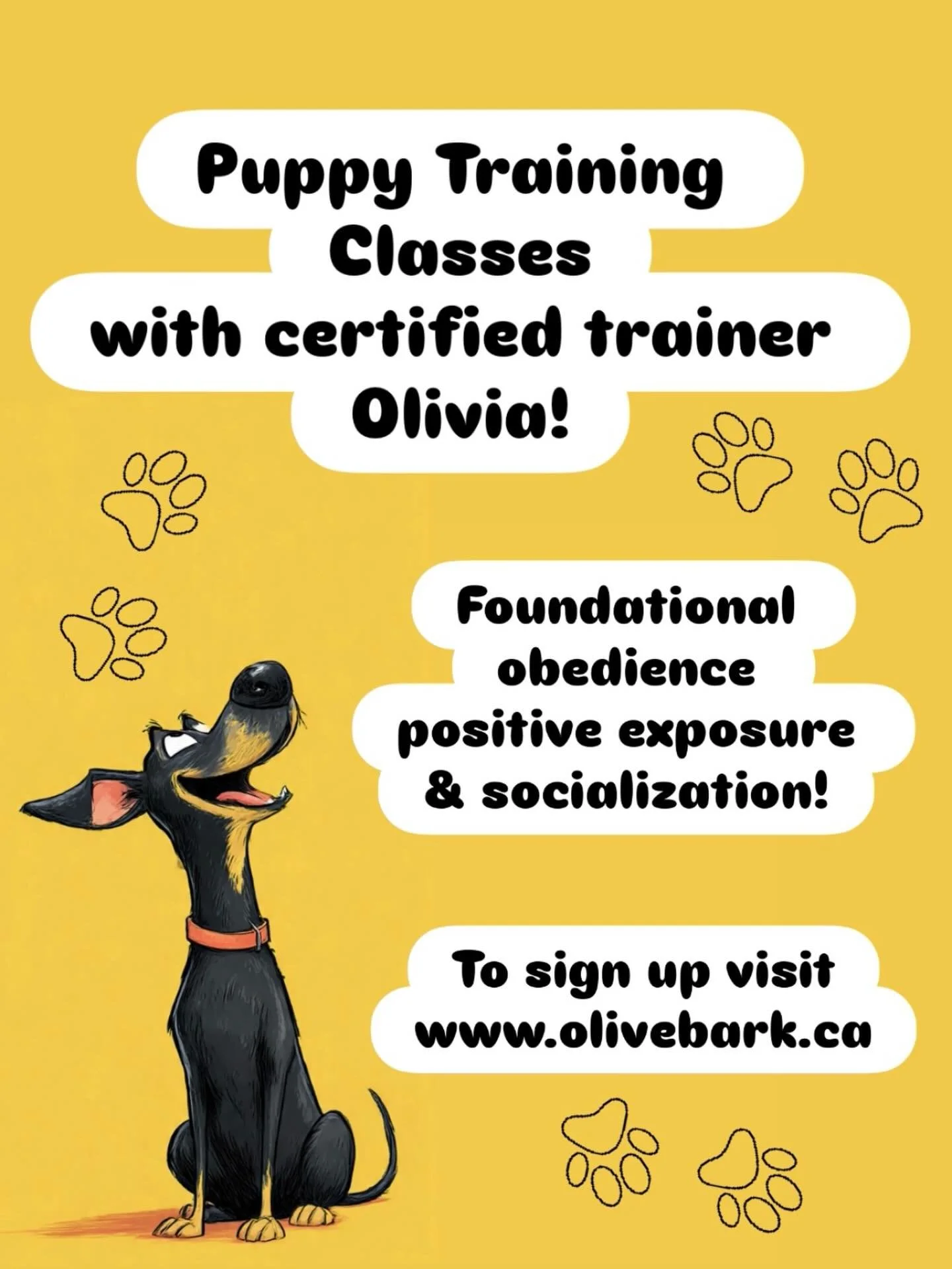 Puppy learning lab with group classes for training and socialization. This multi-week program includes:

&bull;Dog learning theory
&bull;Foundational obedience 
&bull;Positive exposure + socialization 
&bull;Play sessions + fun tricks

@oliviatrainsd
