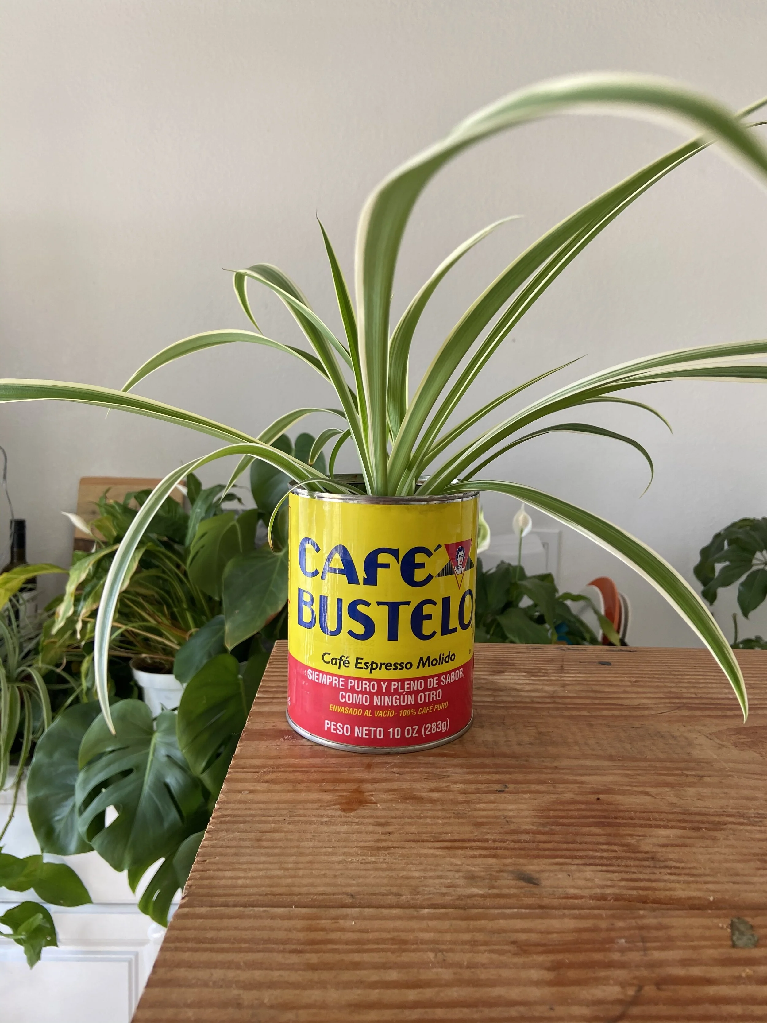 4FD3F4B1-9EA8-4229-AED7-D506638930F6