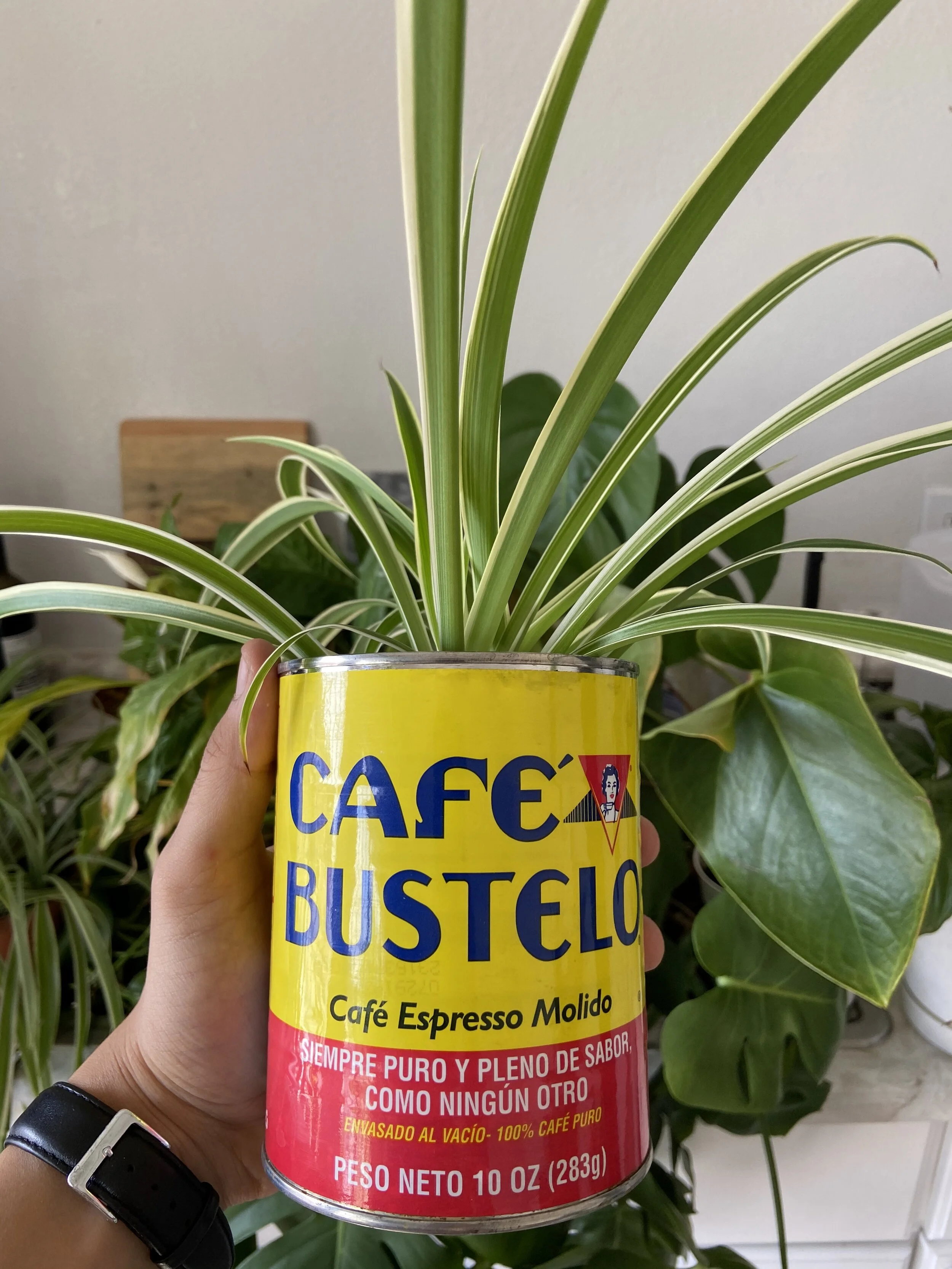 ACB00B51-907C-4102-B21E-E2D4E7E79859