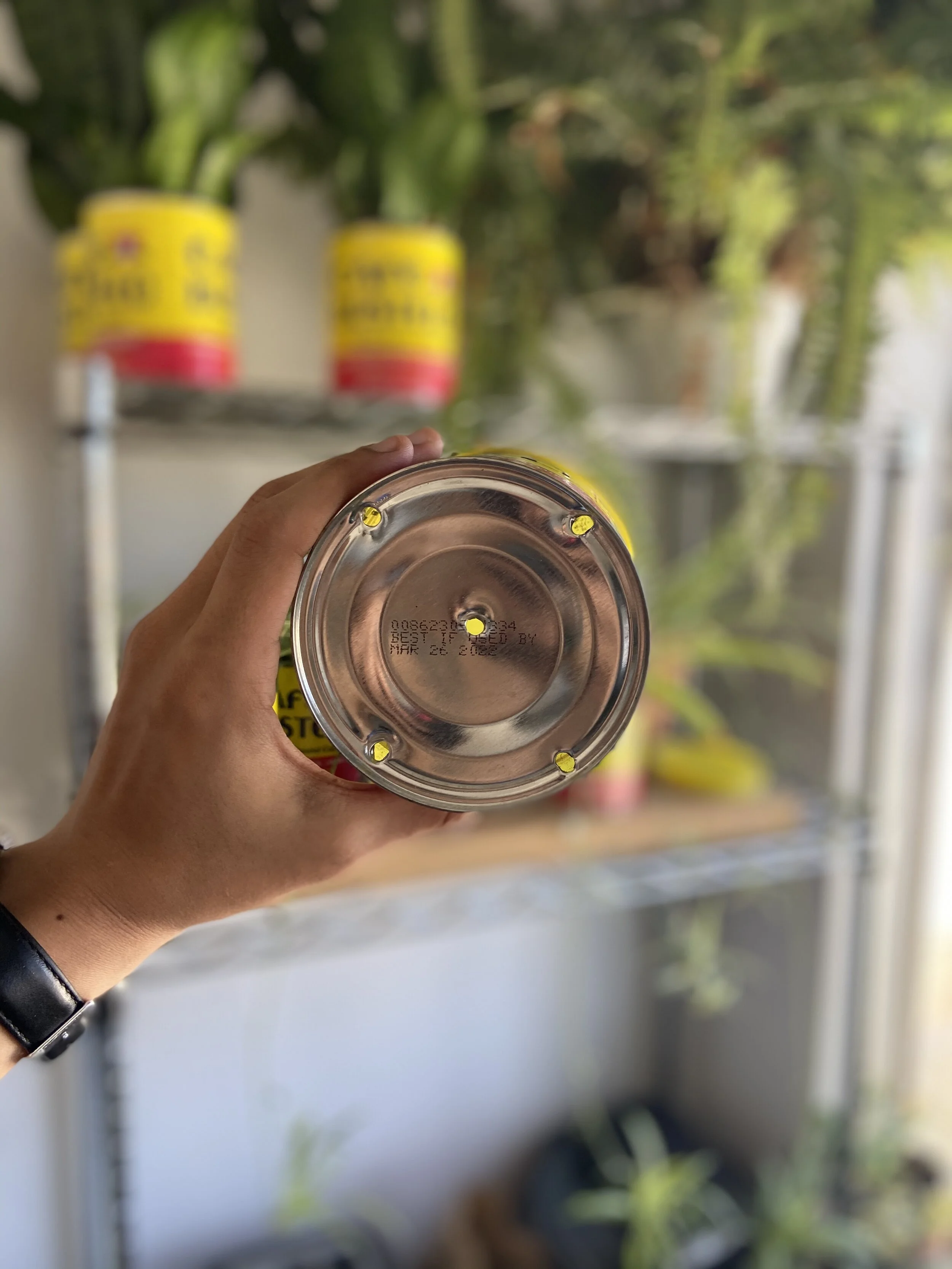 F7DA1CDB-085F-4A4B-9FEC-BB6C4FC3A027