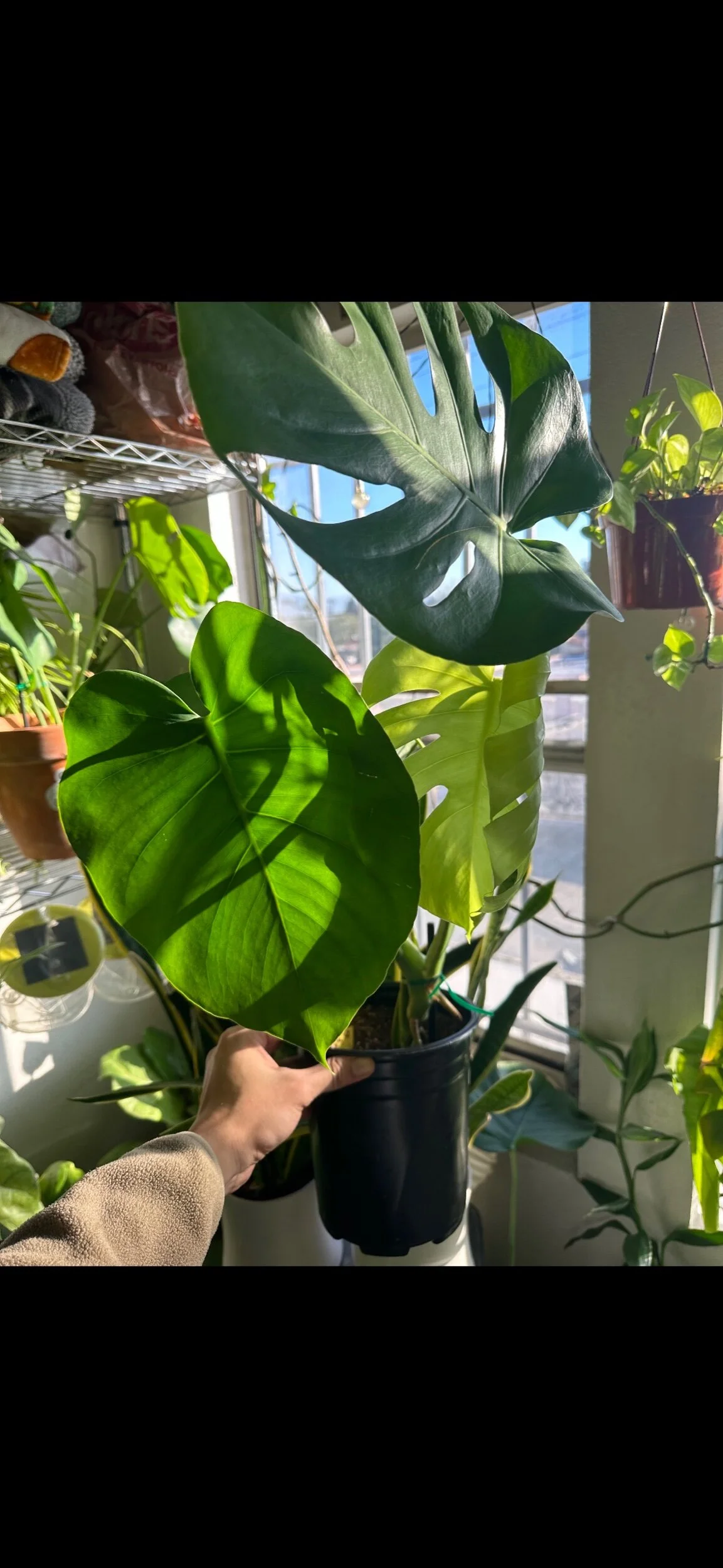 73350FF2-E790-4D85-BBAC-CDFA4C49C025