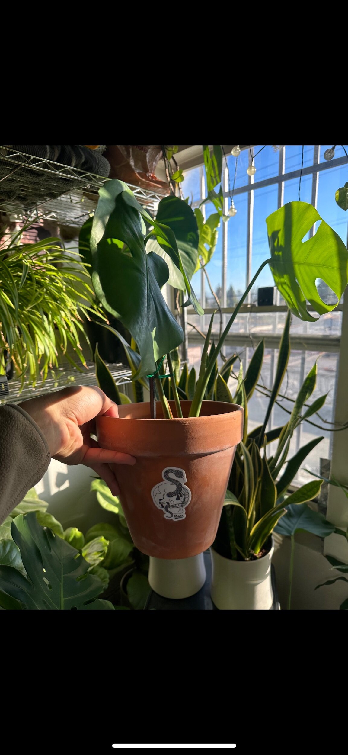 9BFE8B0F-B4E8-48A0-BBEE-9F5C2AEC9903