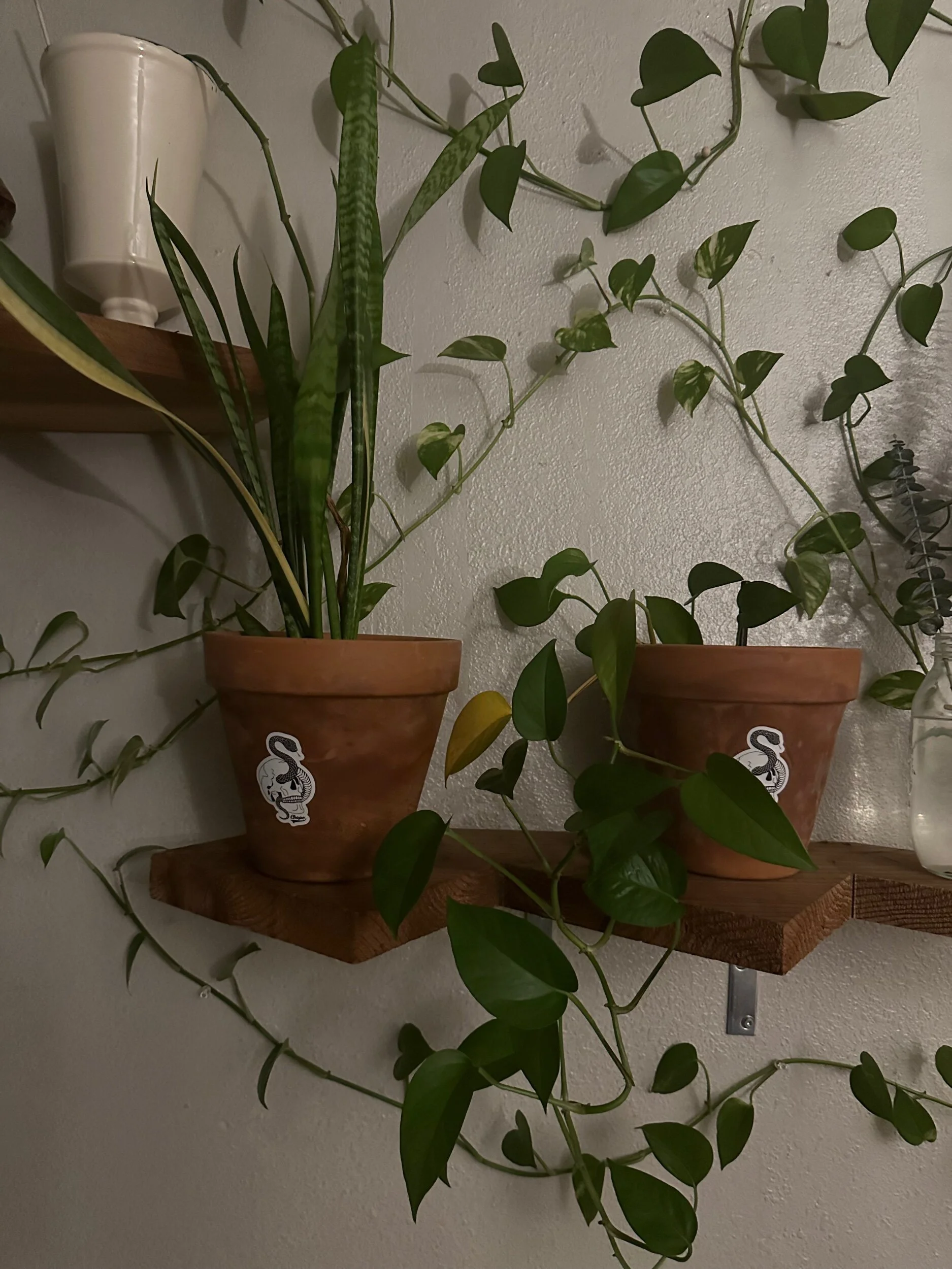 0F3E42EA-1782-4C6F-B1B4-4DF15760E889