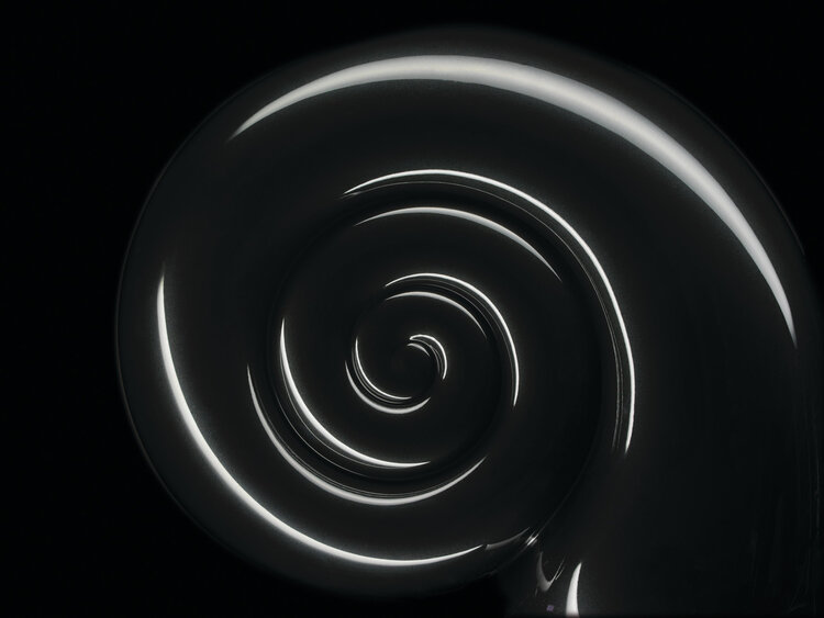 Low--Nautilus Black Swirl Beauty.jpg