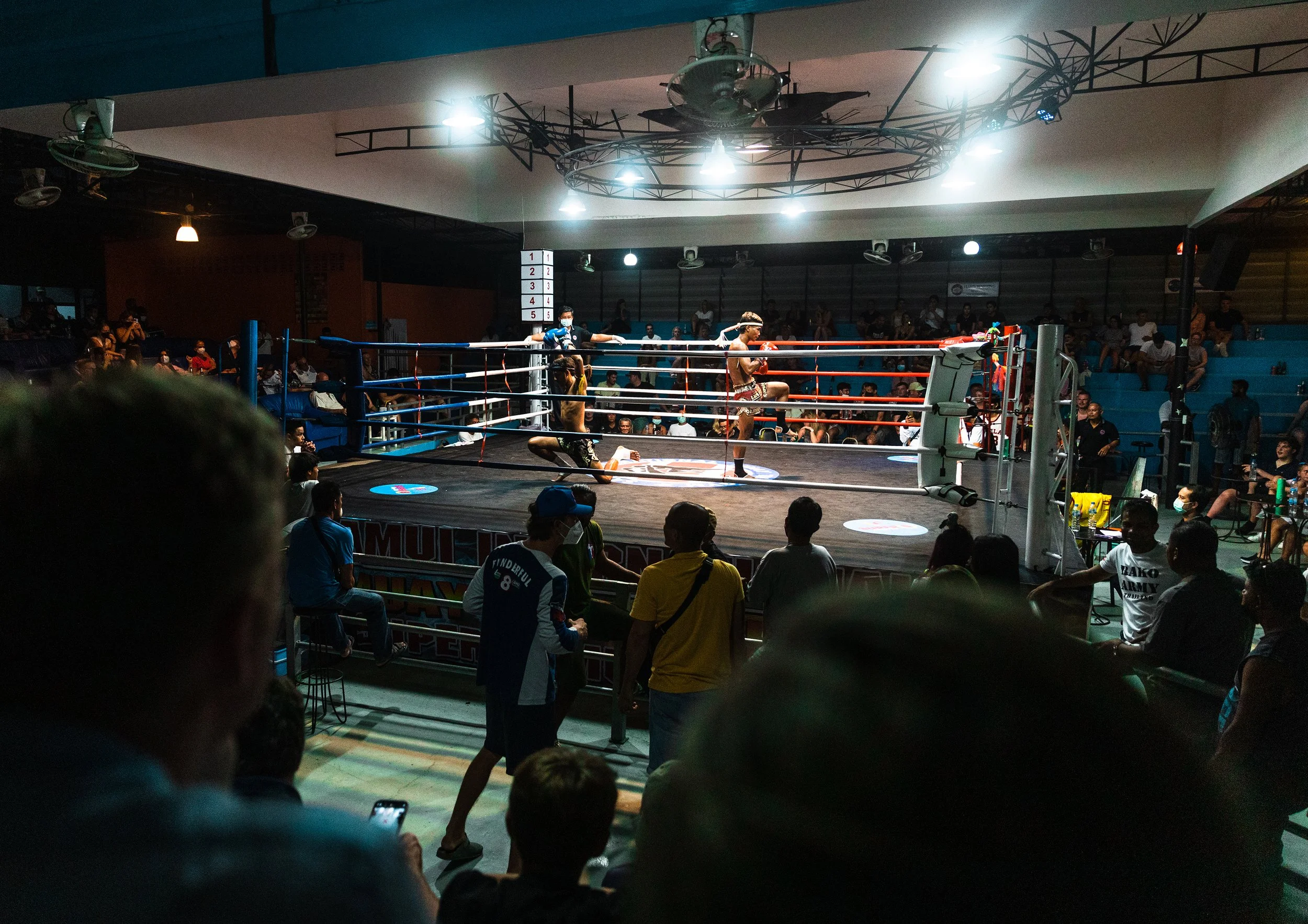 MUAY THAI PRINT-2.jpg