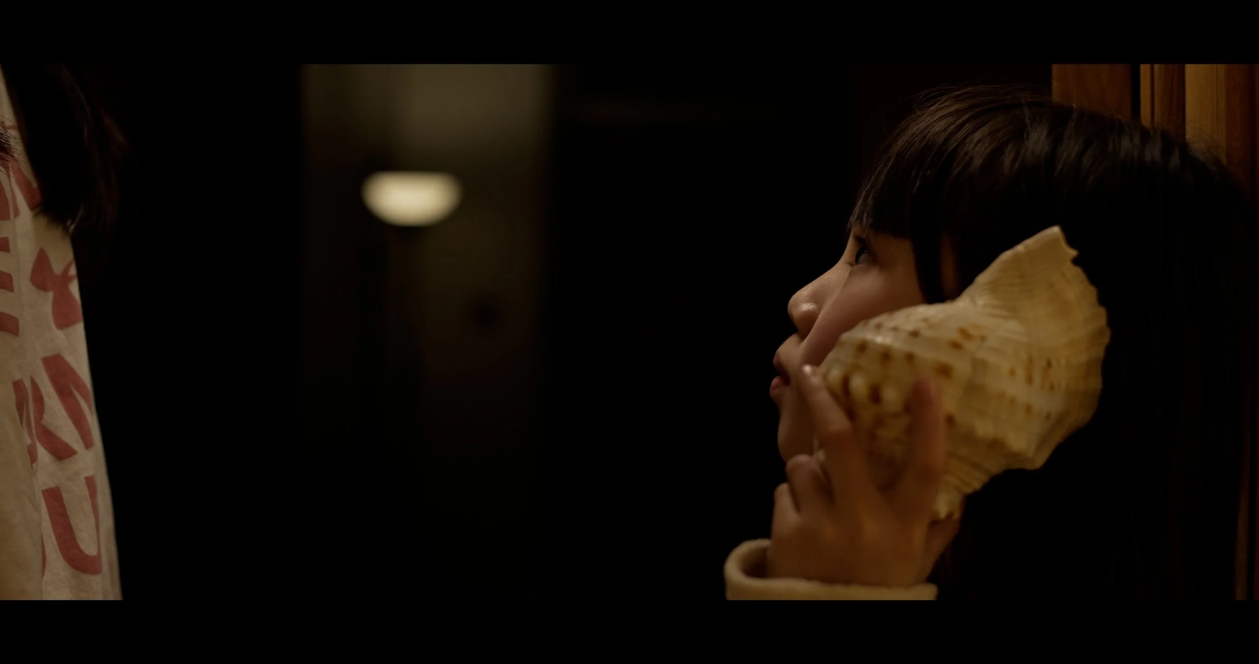 WTSDF_Master_4k_ProRes422_no_subtitles.00_08_08_23.Still006.jpg