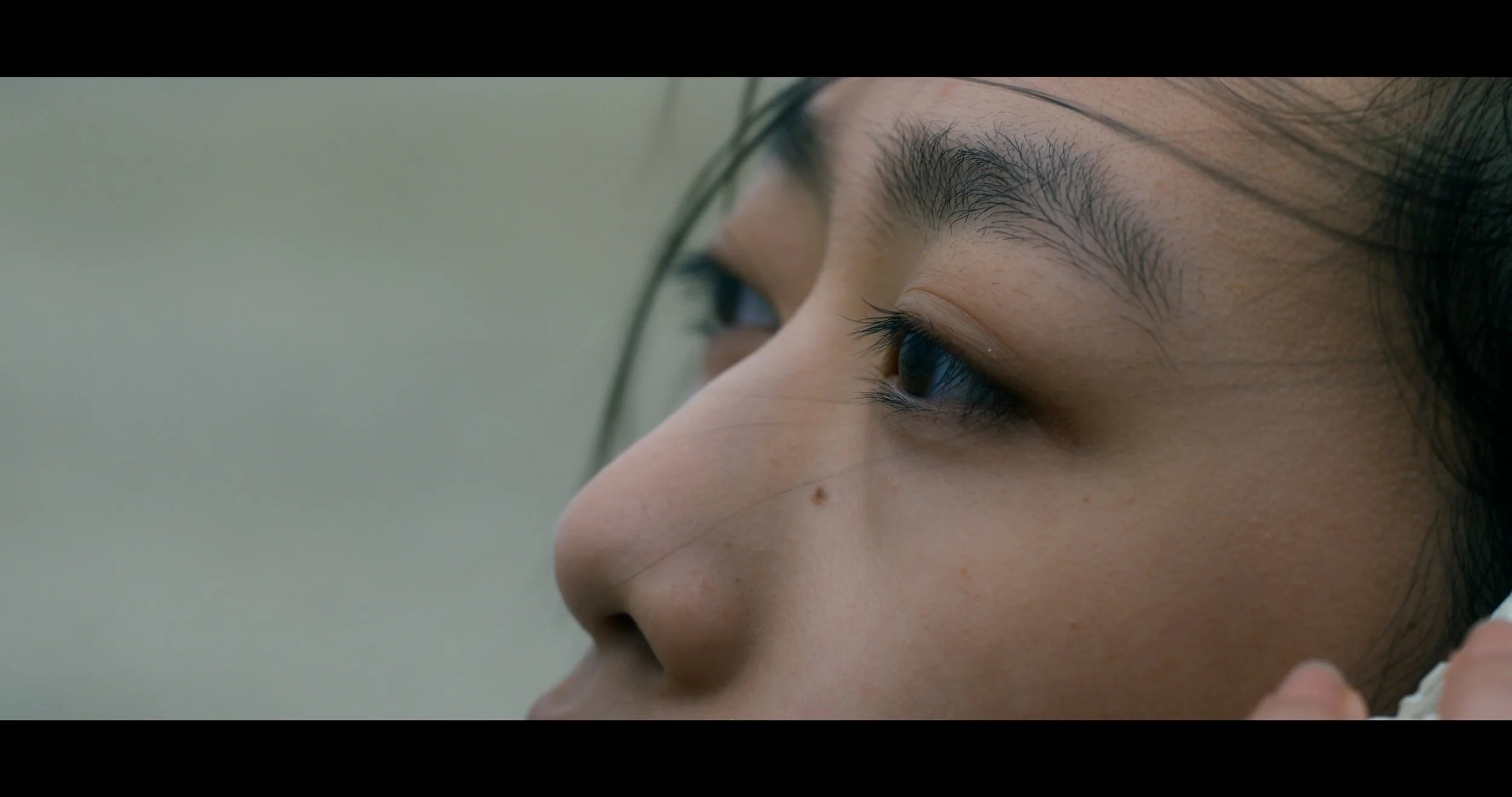 WTSDF_Master_4k_ProRes422_no_subtitles.00_00_34_20.Still001.jpg