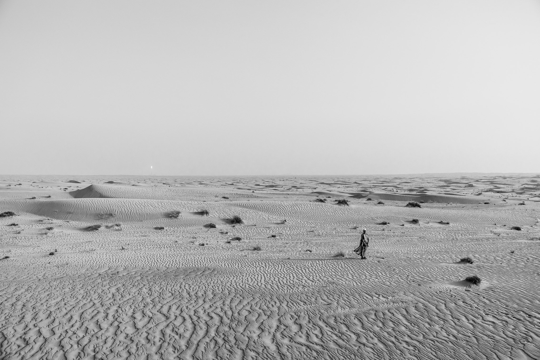 0A9A8923-2.jpg