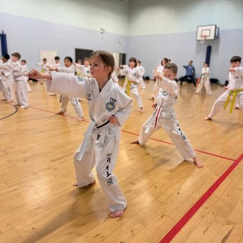 SMMA-Steven-Mclaren-Martial-Arts-web-junior-taekwondo-thumbnail-class.jpg