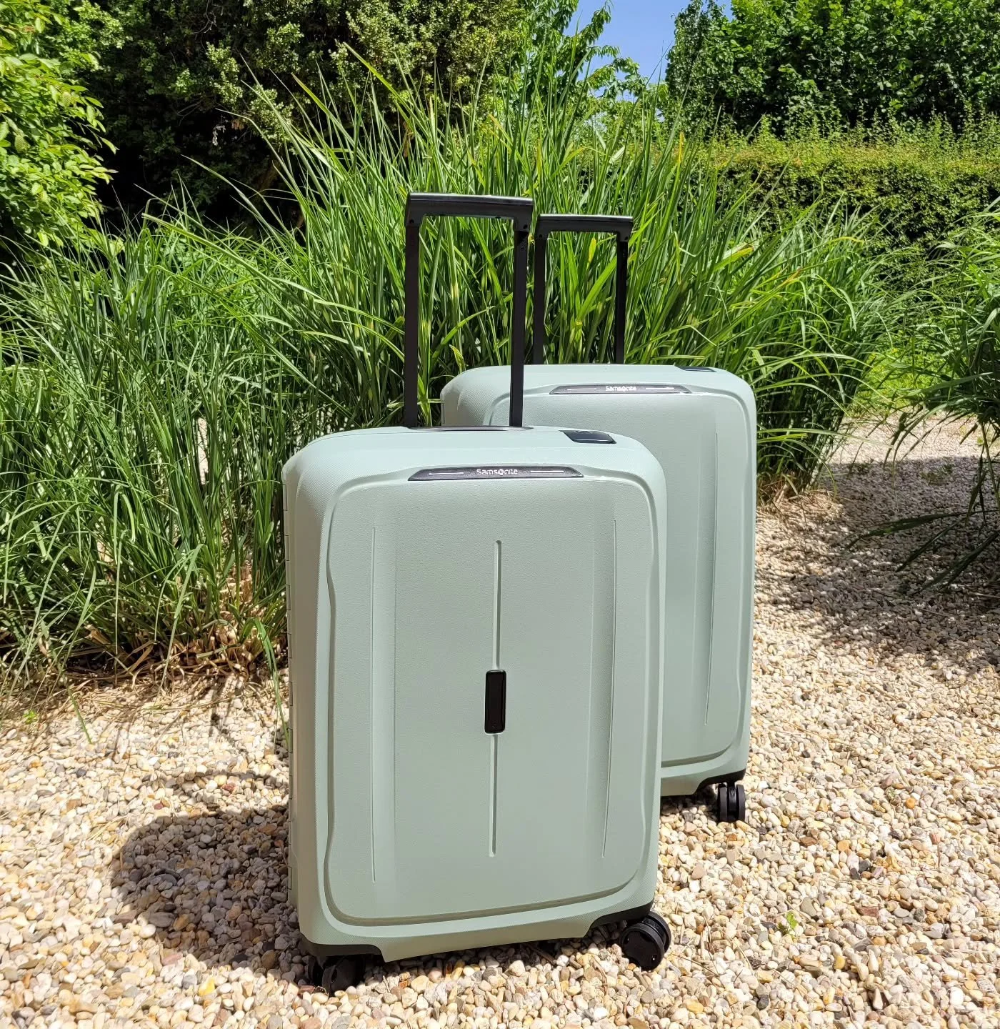 Klaar voor de reis! Samsonite &euro;219.= en &euro;239.=
As. Zondag Koopzondag! Wij zijn open van 12.00-17.00uur!#steenwegsittard #parkeerplaatssteenwegbereikbaar