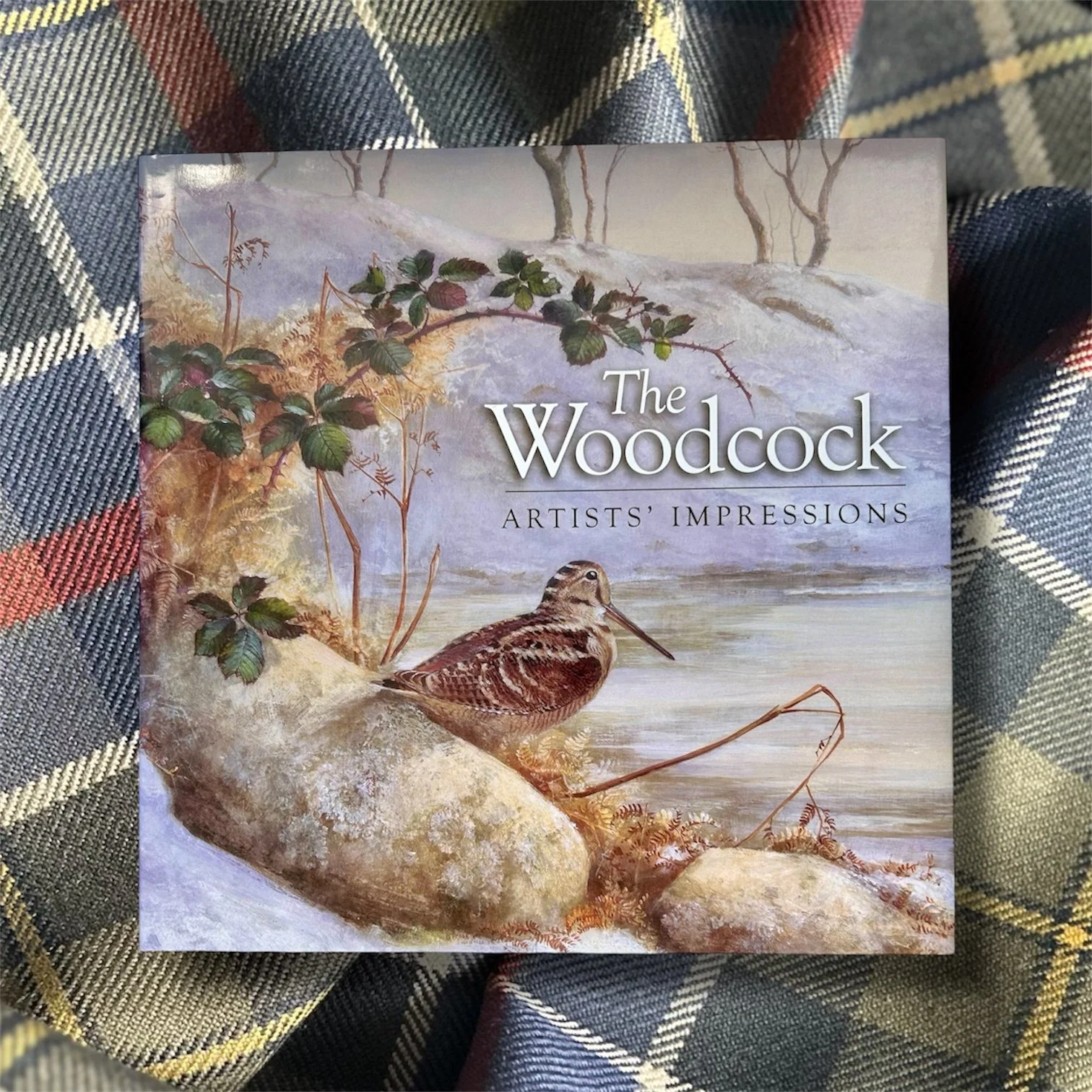 The Woodcock. Artists Impressions. .jpg