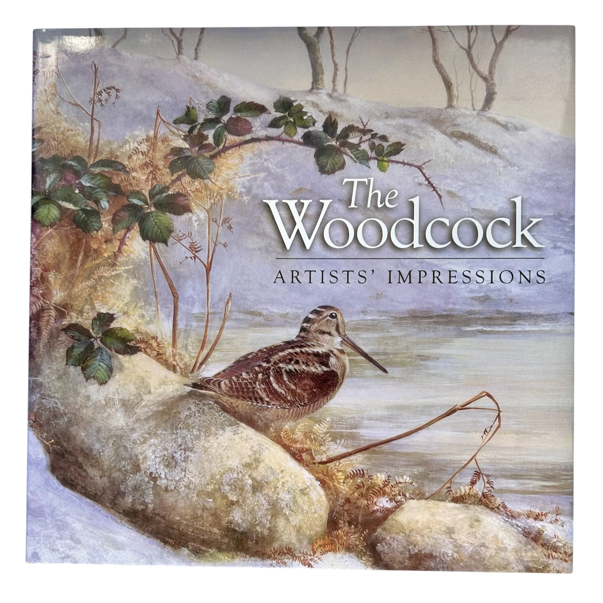 The Woodcock. Artists Impressions.jpg