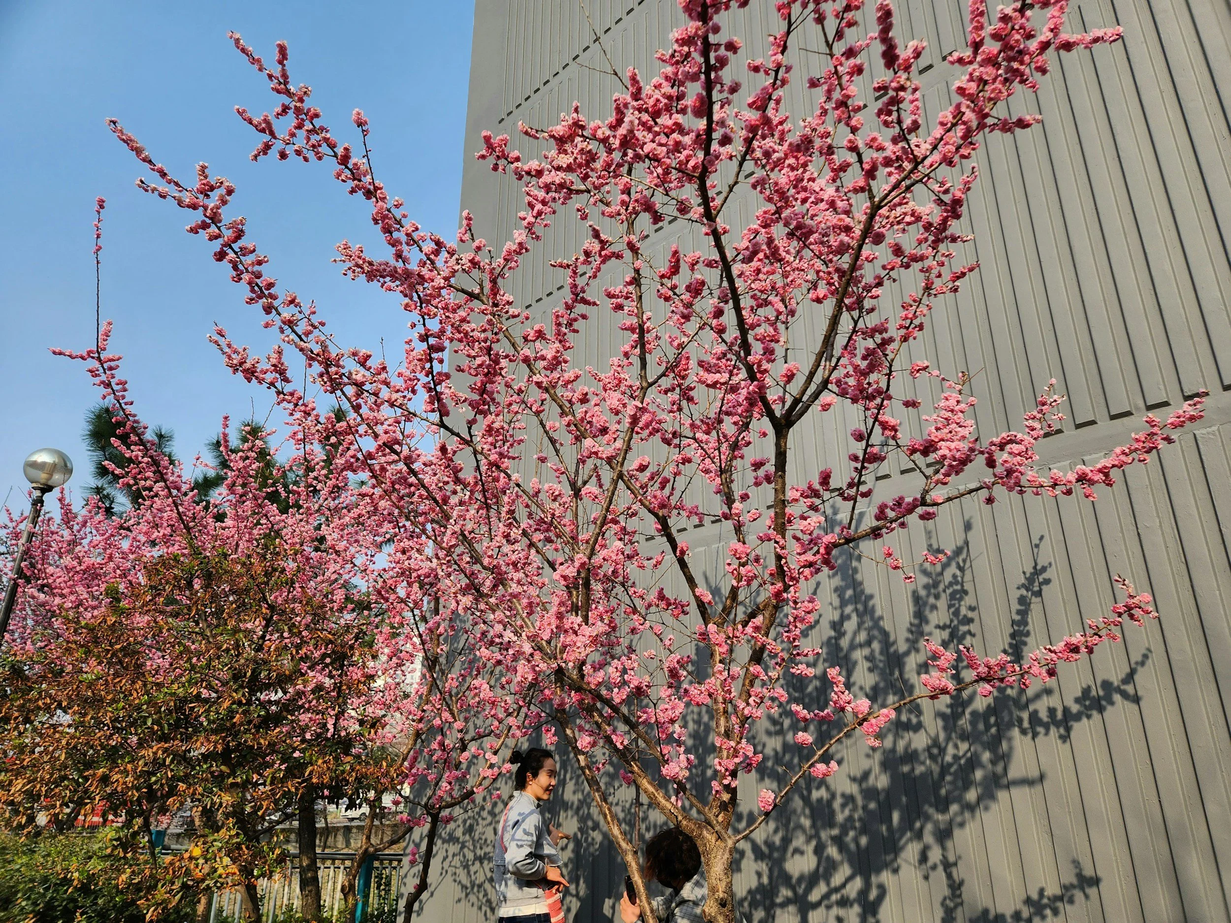 Spring Semester Begins