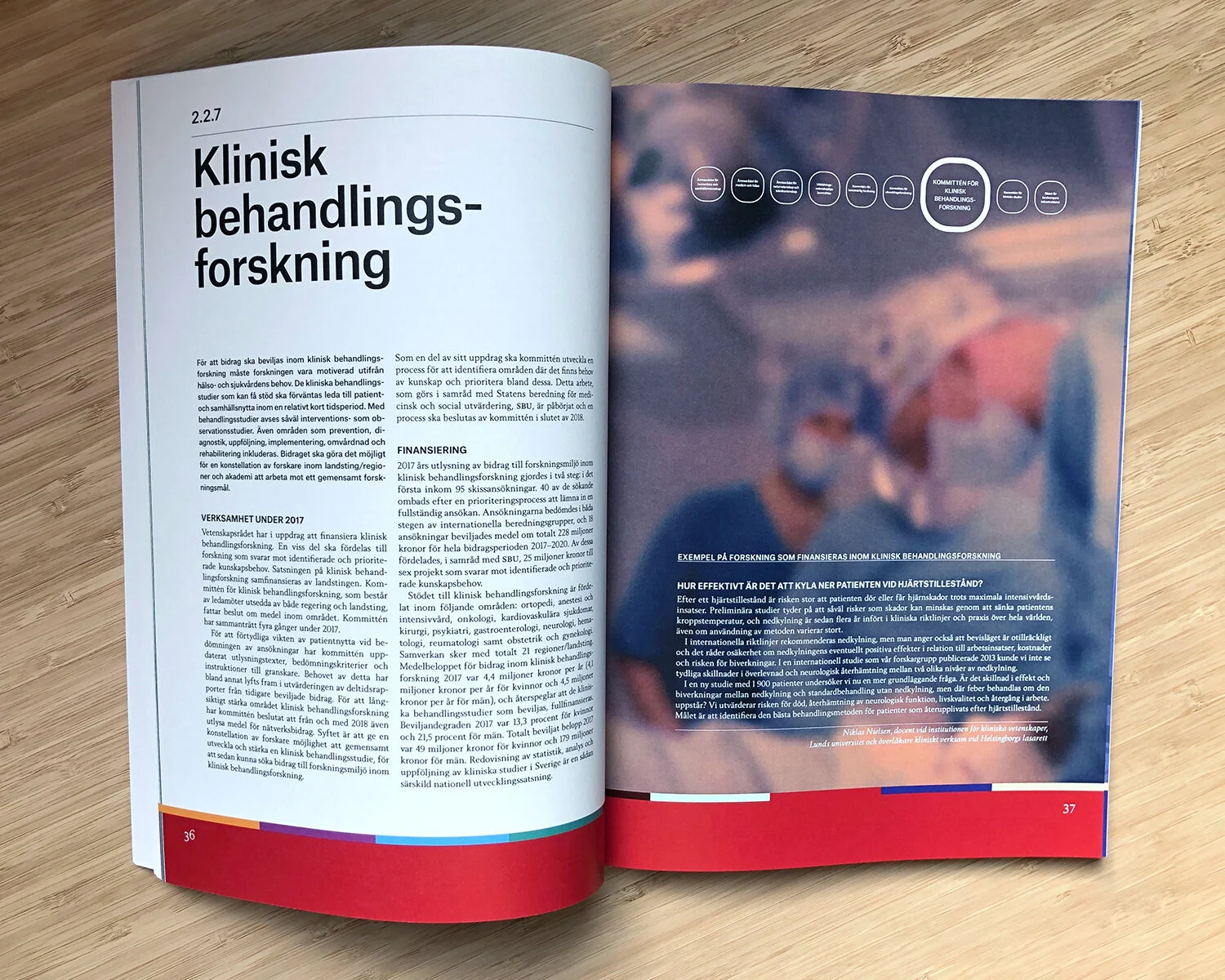 annual report 2017