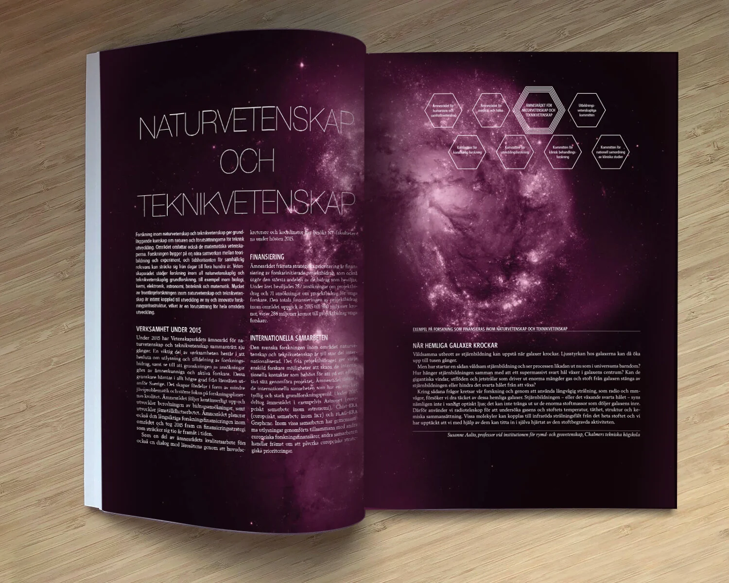 annual report 2015