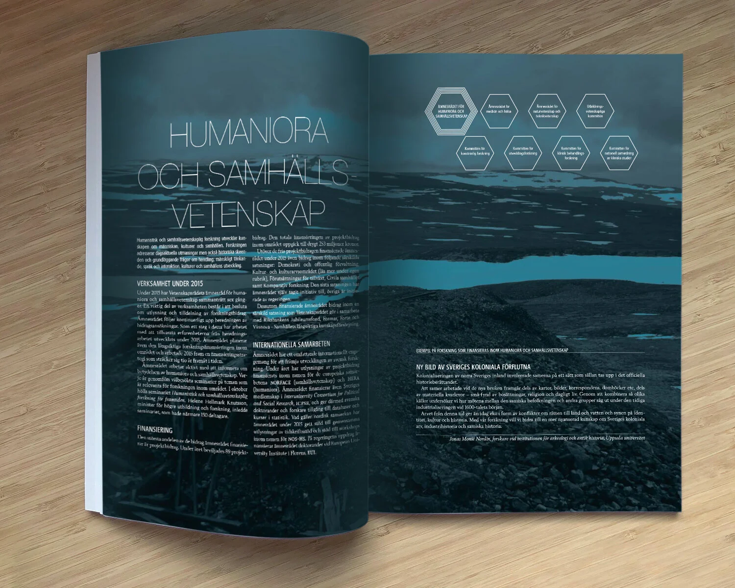 annual report 2015