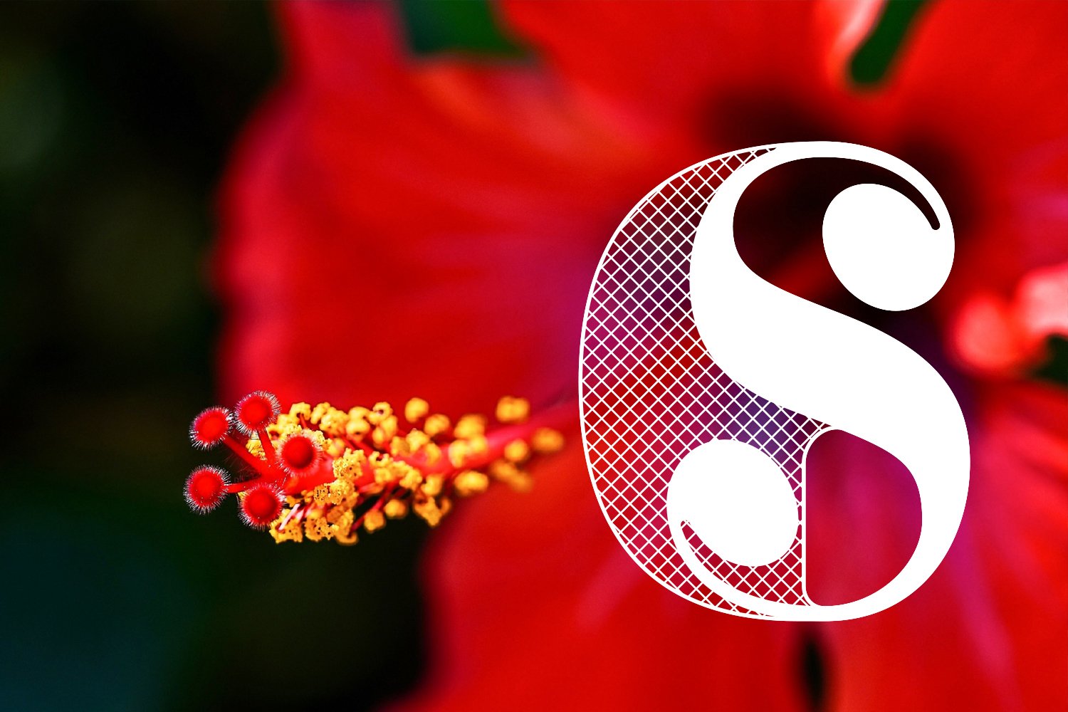S6Logo1.1500x1000OK.jpg
