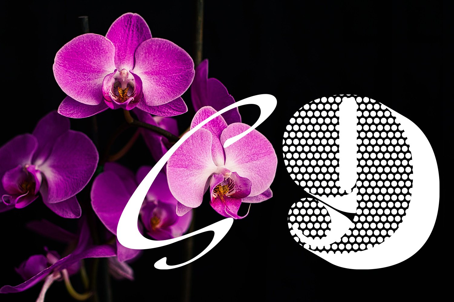 S9LogoOrchidOK.jpg