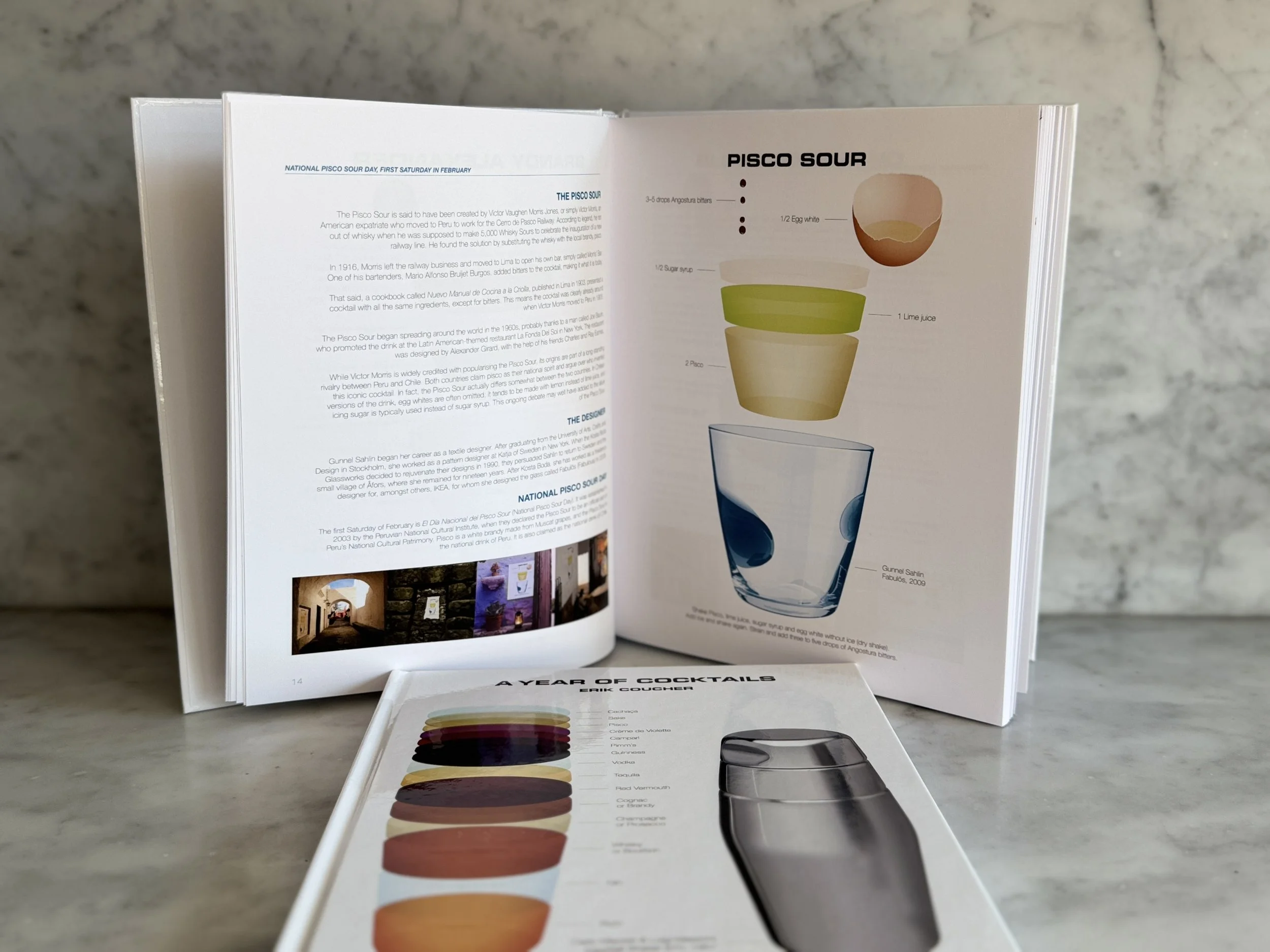 A Year Pisco Sour.jpg