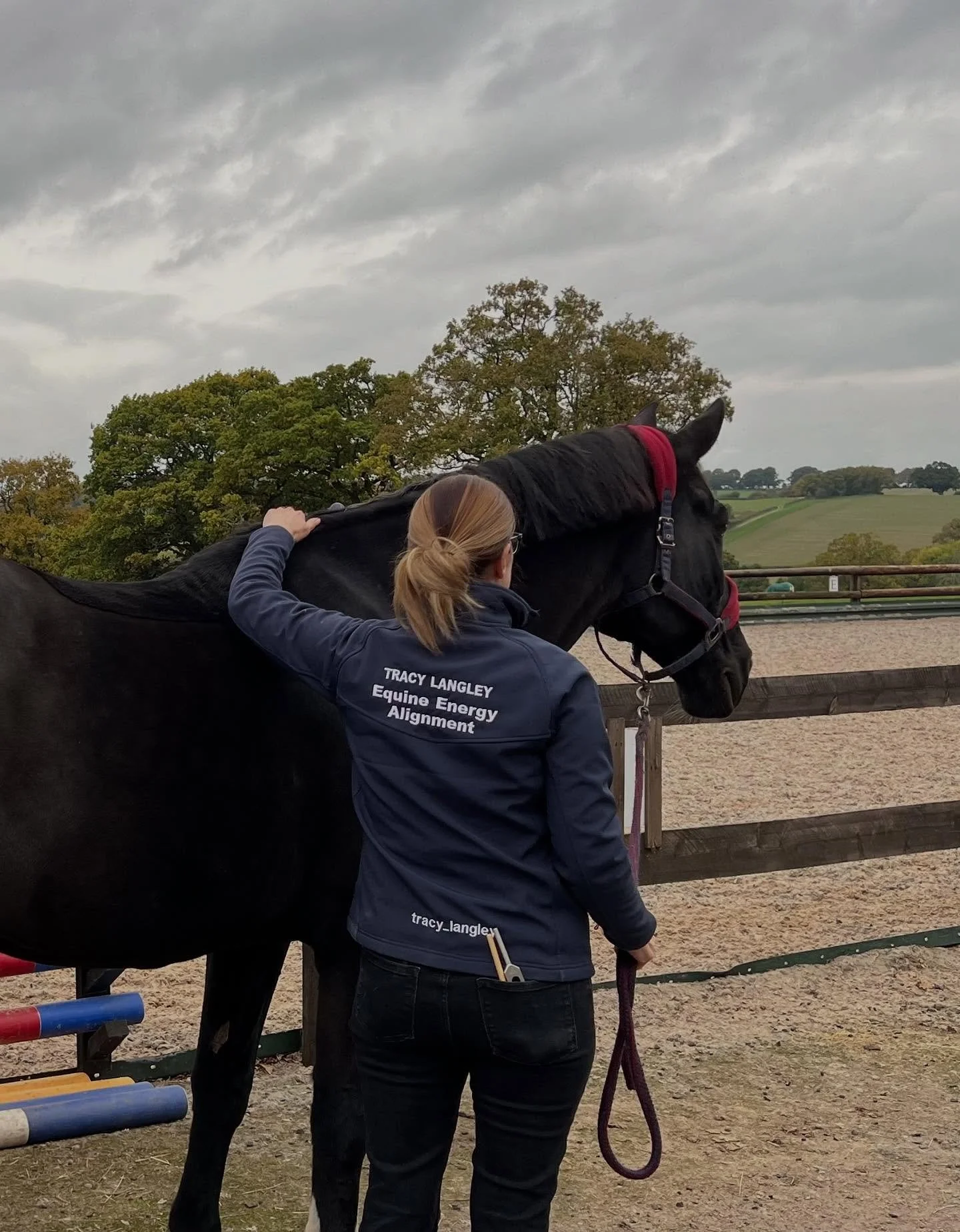 After a busy morning treating horse riders i then went along to treat these two 💙 to get them ready for next week competing in the British Dressage associated championship at Onley  in Rugby.

Energy Alignment both physically and emotionally are so 