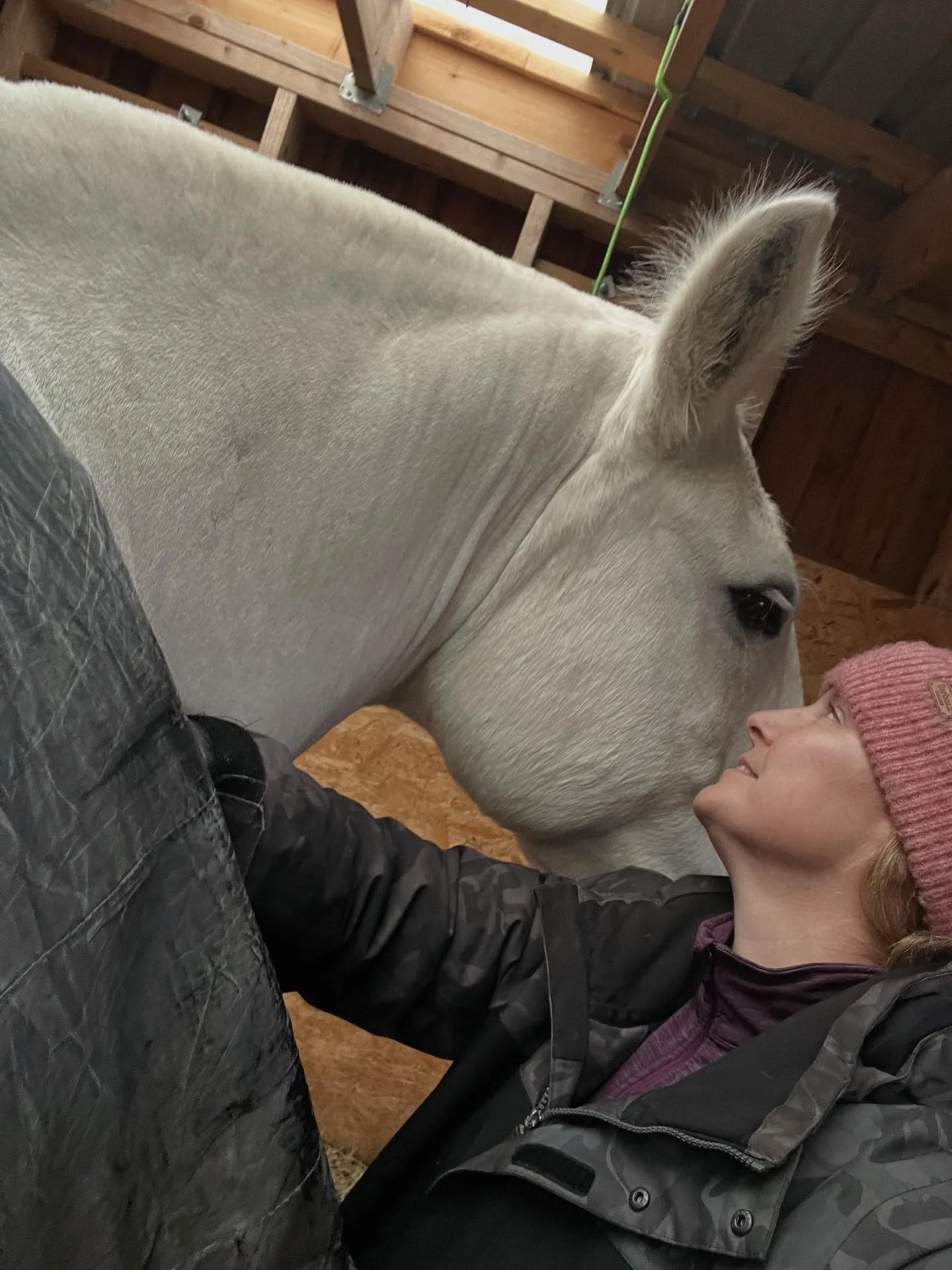 When your work takes you to the wild beauty of Durness, Scotland 🏴󠁧󠁢󠁳󠁣󠁴󠁿

It&rsquo;s been over 3 years since I last treated Boris in person&mdash;living over 11 hours away meant we&rsquo;ve been working remotely all this time. But a planned fe