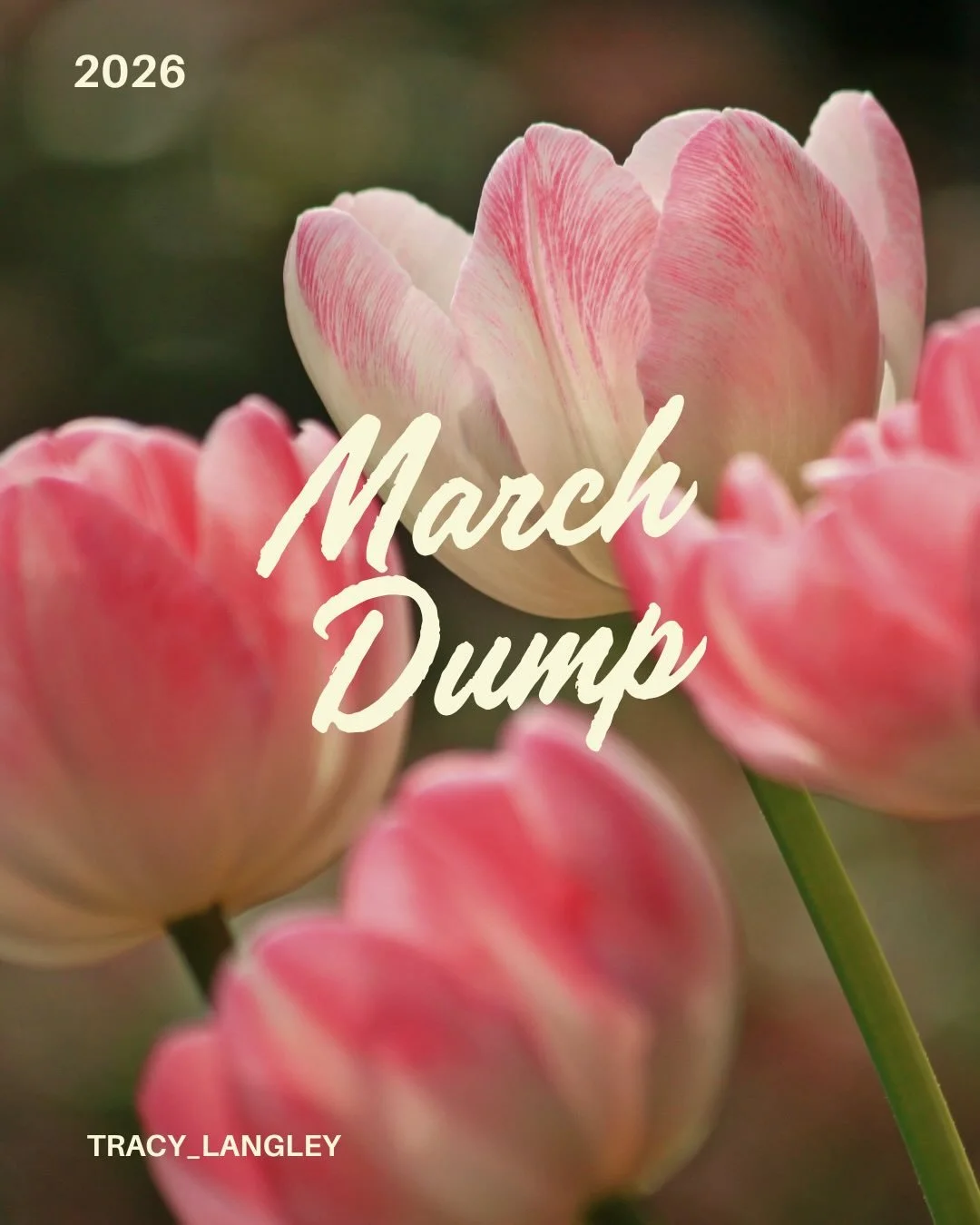 March 2026 💛

What a month it has been. 

March has been full of moments that remind me exactly why I do what I do &mdash; out treating horses, holding space in meditation sessions, bringing wellness into the corporate world, 1:1 energy healing and 