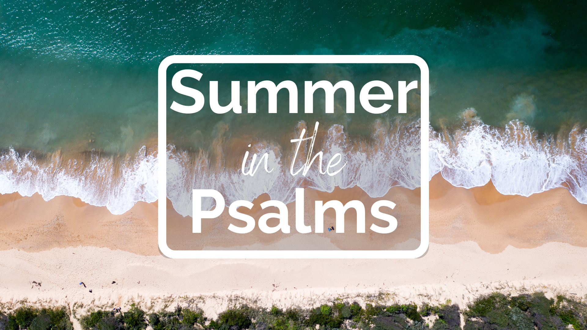 Summer in the Psalms