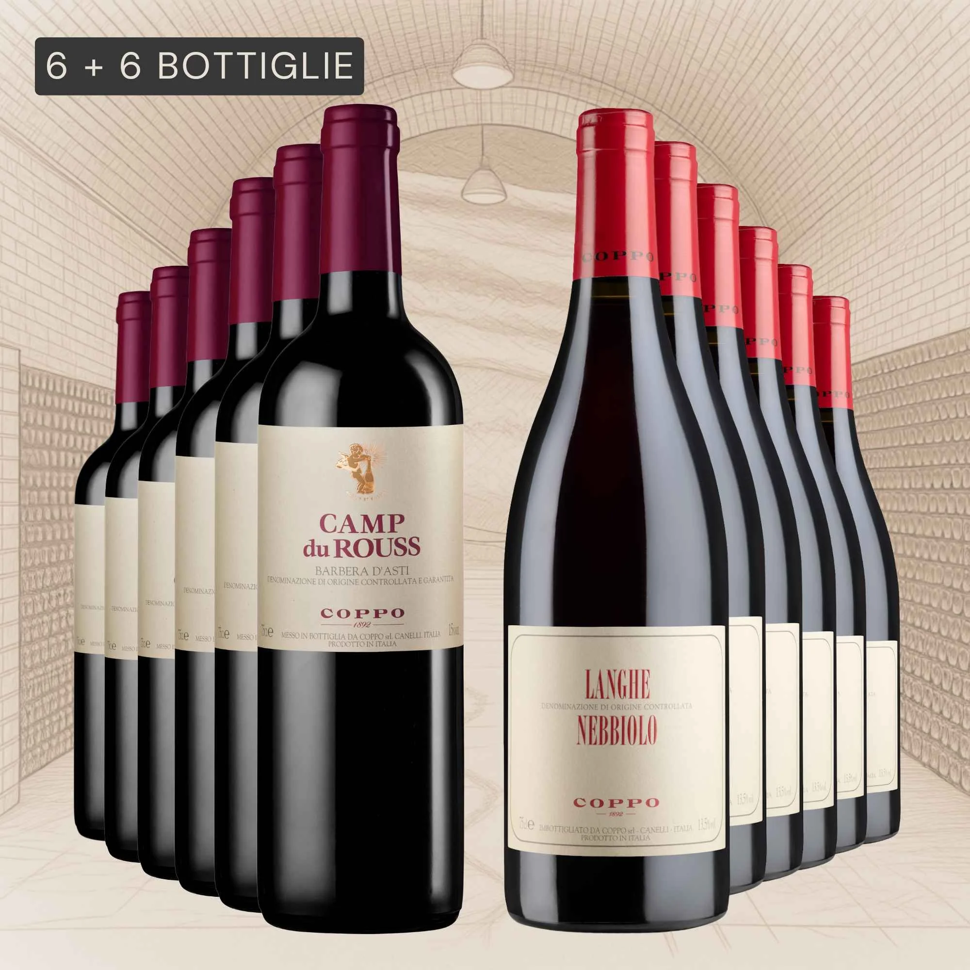 Confezione 12 bt: Camp du Rouss 2024 (6), Langhe Nebbiolo 2024 (6)