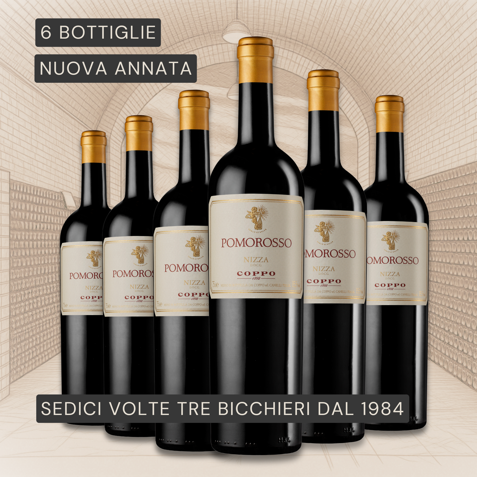 Confezione 6 bt: Pomorosso 2023 (6)