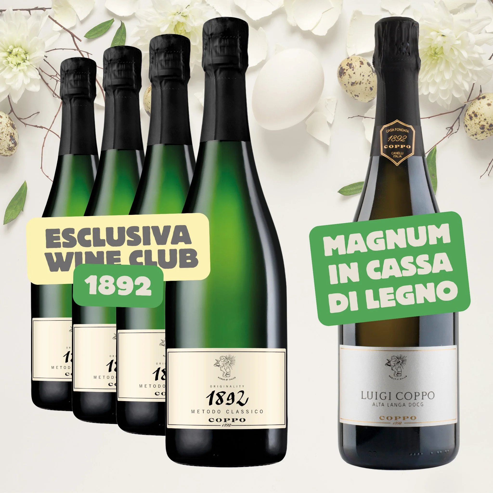 Confezione 5 bt: 1892 (4), Luigi Coppo 2020 Magnum cassa di legno